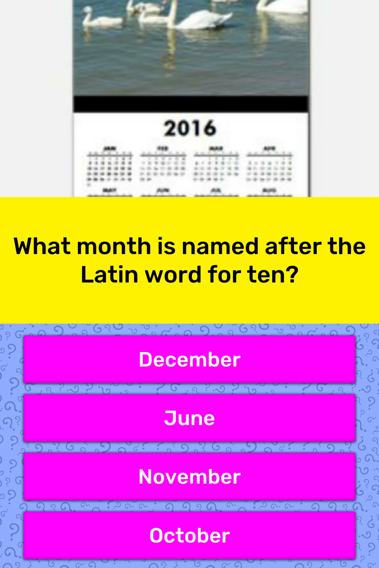 what does november mean in latin