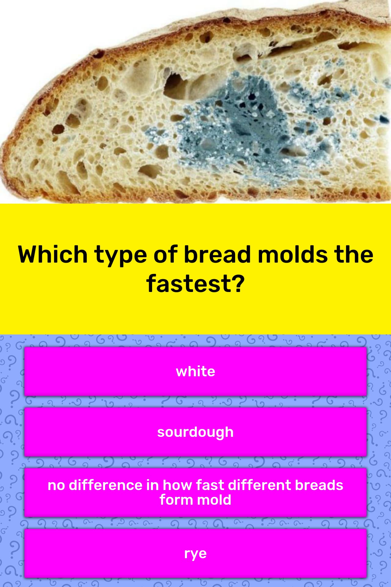 Which bread molds the fastest research