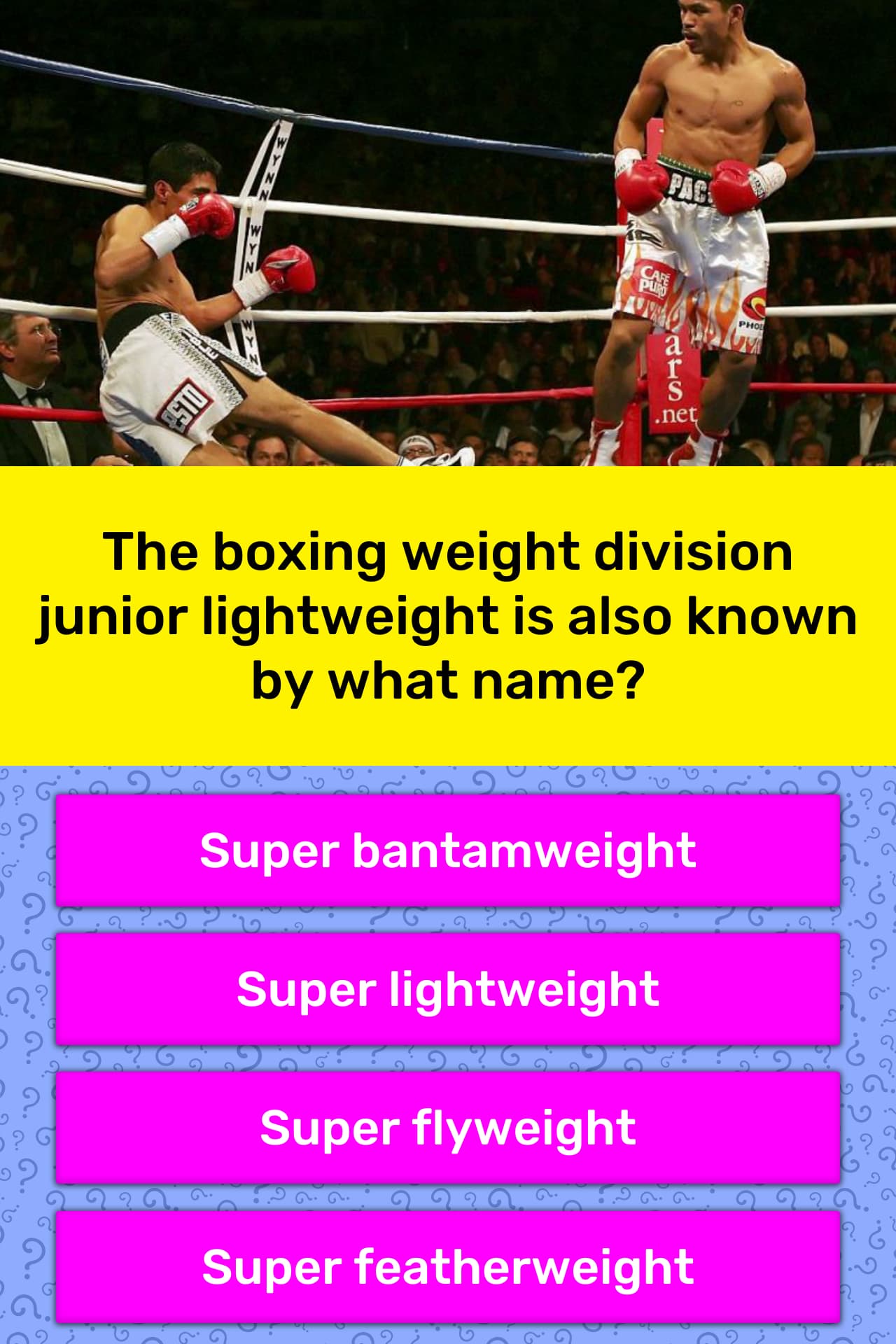 the-boxing-weight-division-junior-trivia-questions-quizzclub