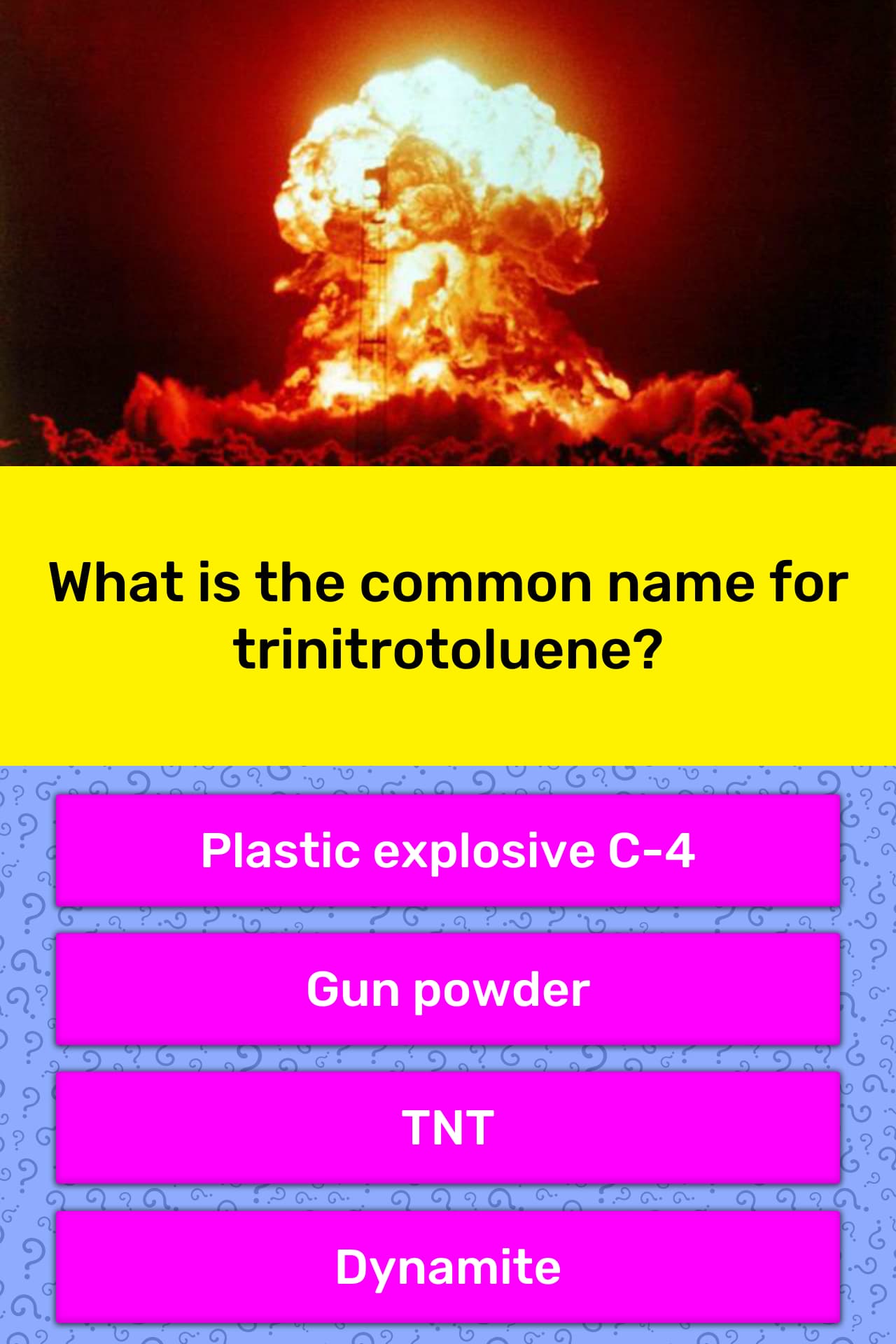 What Is The Common Name For Trivia Answers Quizzclub