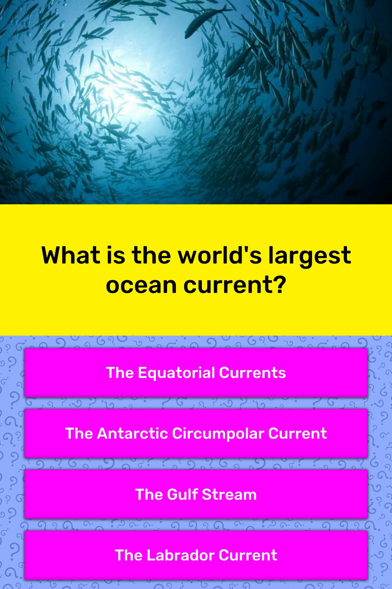 what-is-the-world-s-largest-ocean-trivia-answers-quizzclub