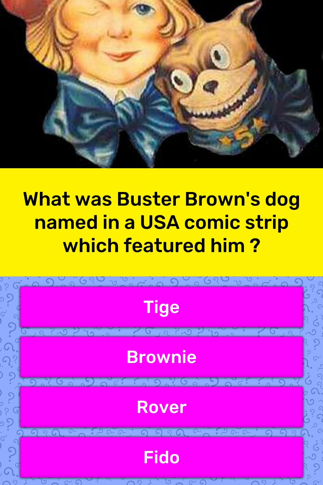 buster brown dog