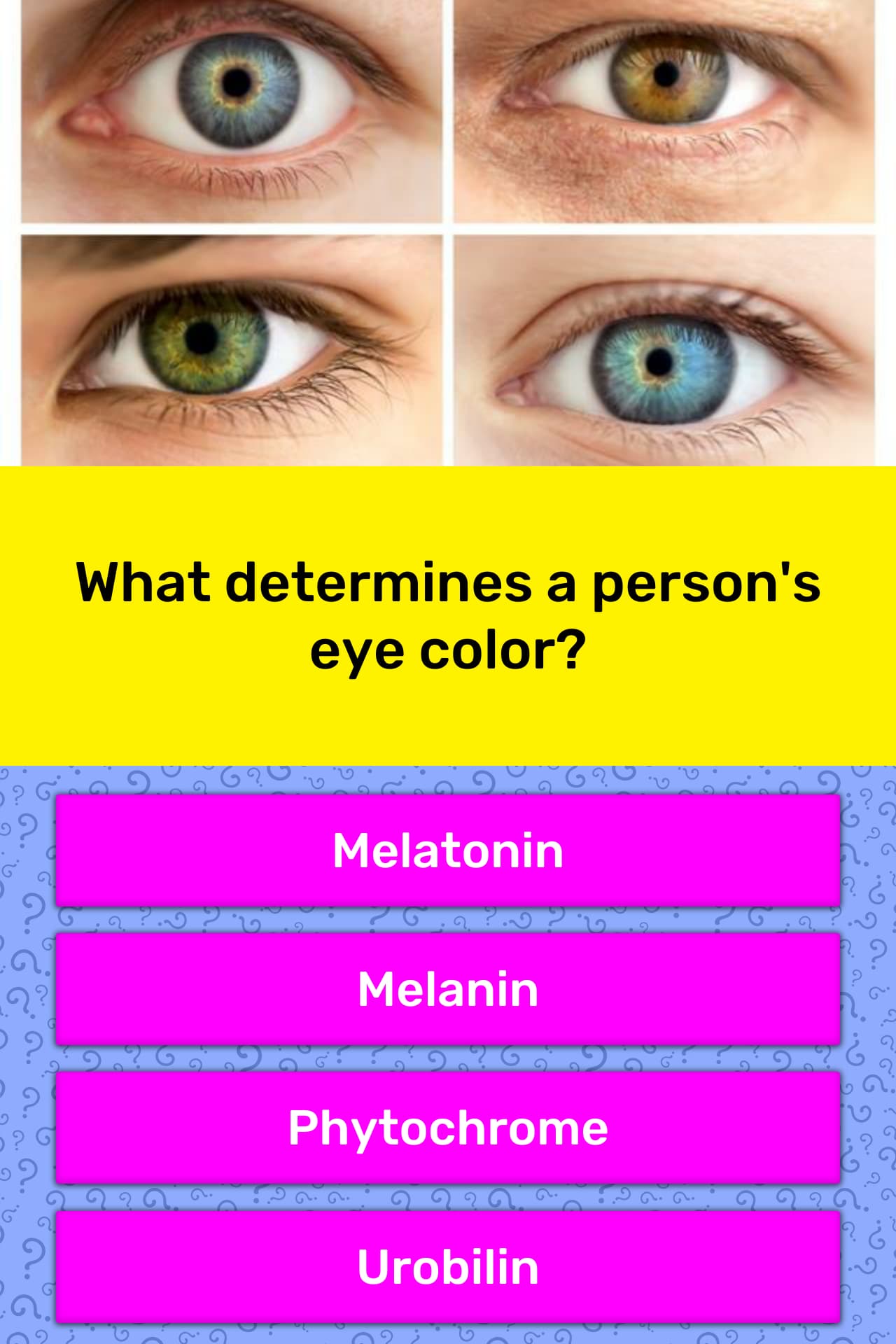 What determines a person's eye color? Trivia Answers