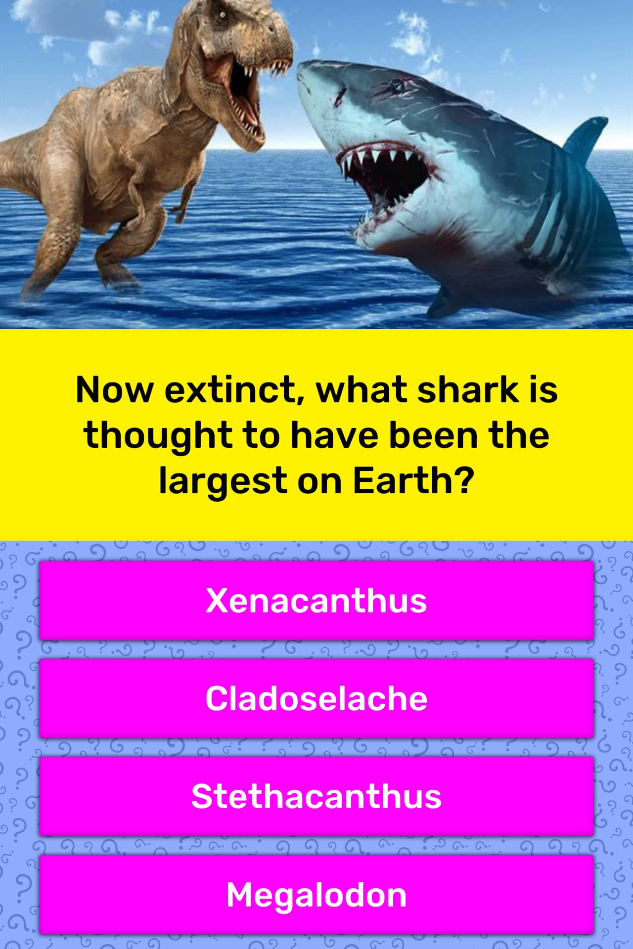 Now extinct, what shark is thought... | Trivia Questions | QuizzClub