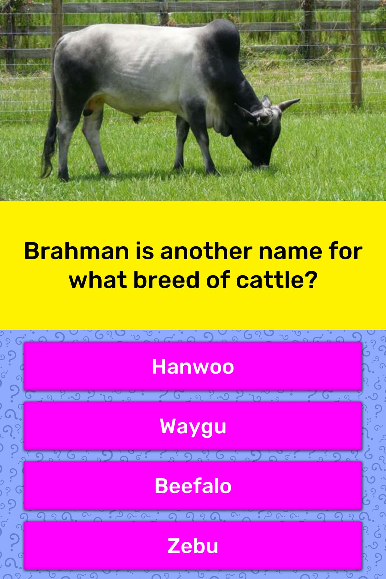 Brahman Is Another Name For What Trivia Questions QuizzClub