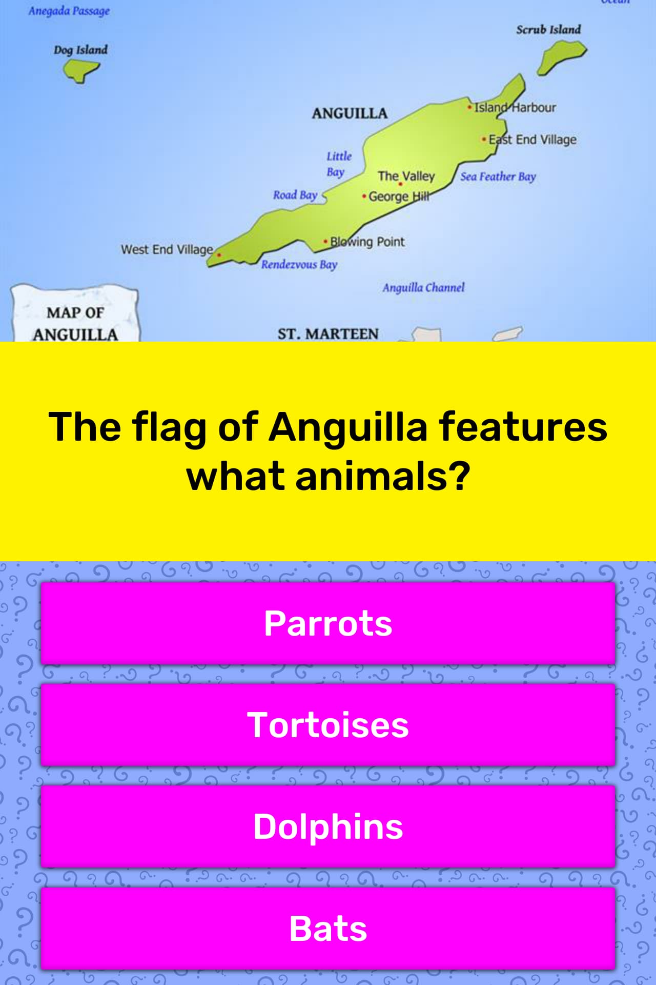 The Flag Of Anguilla Features What Trivia Answers Quizzclub