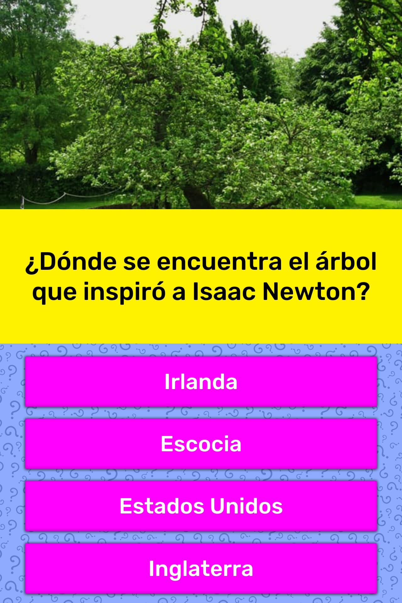 Donde Se Encuentra El Arbol Que Las Preguntas Trivia Quizzclub