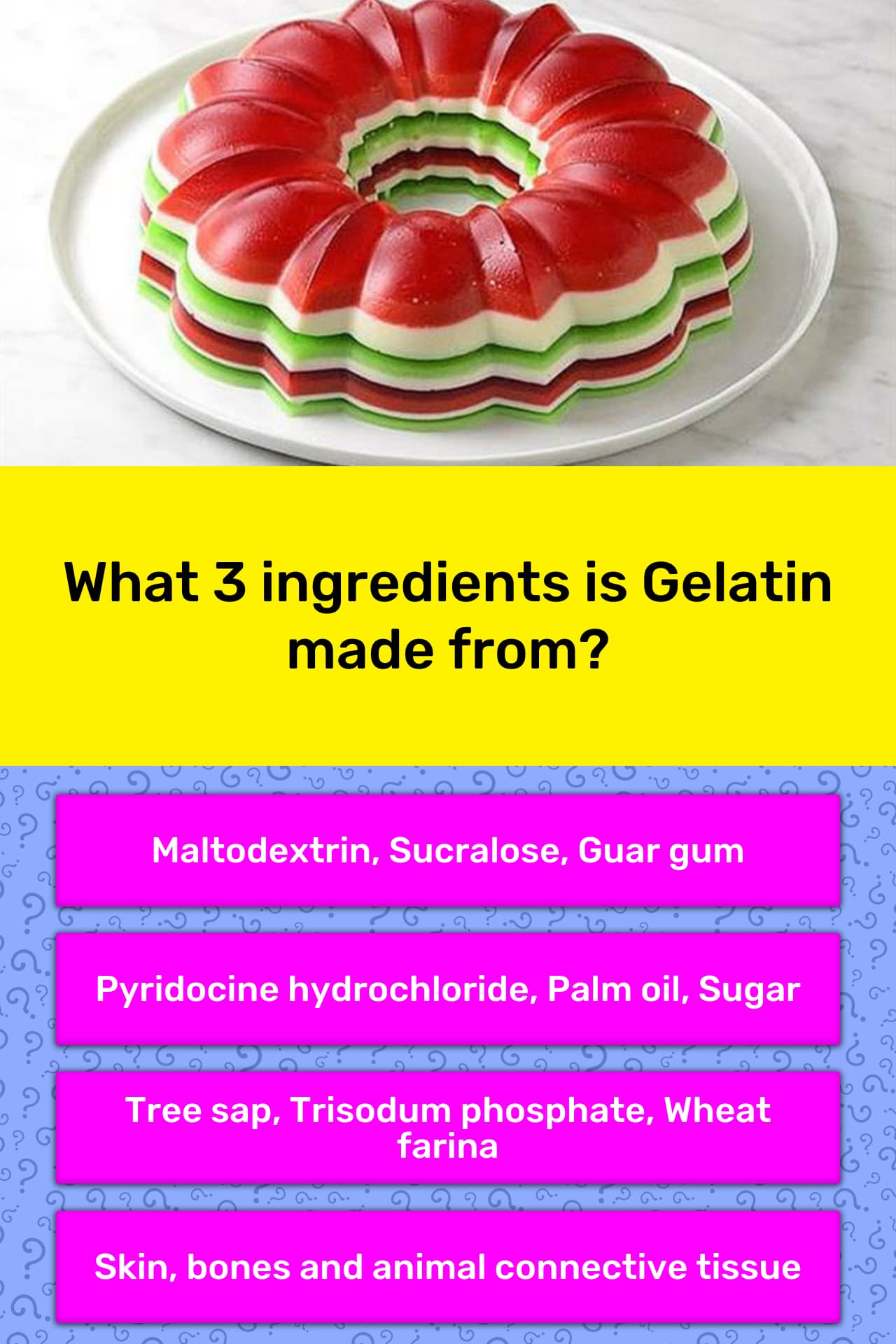 Understanding Gelatin Ingredients: What You Need to Know