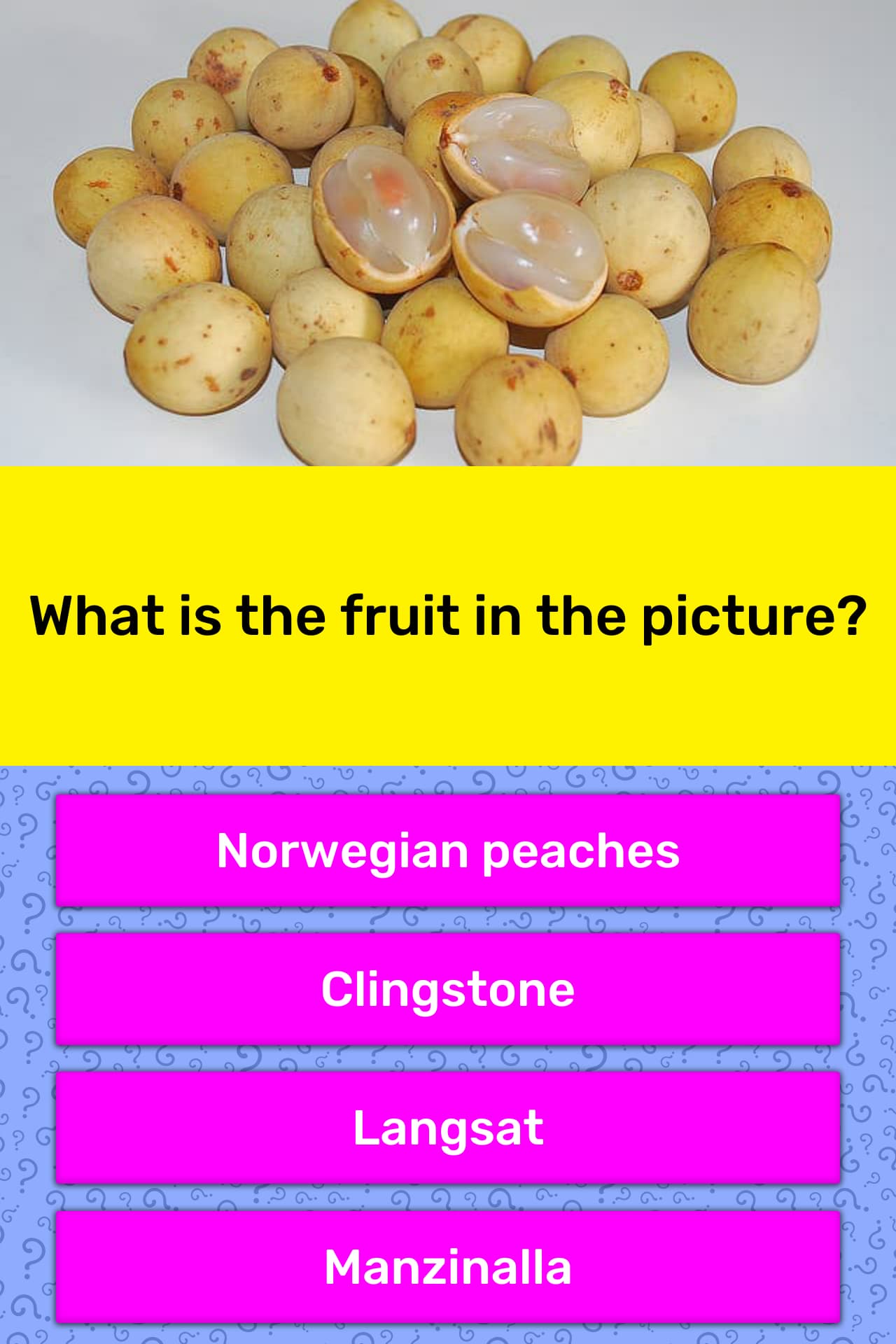 what-is-the-fruit-in-the-picture-trivia-questions-quizzclub