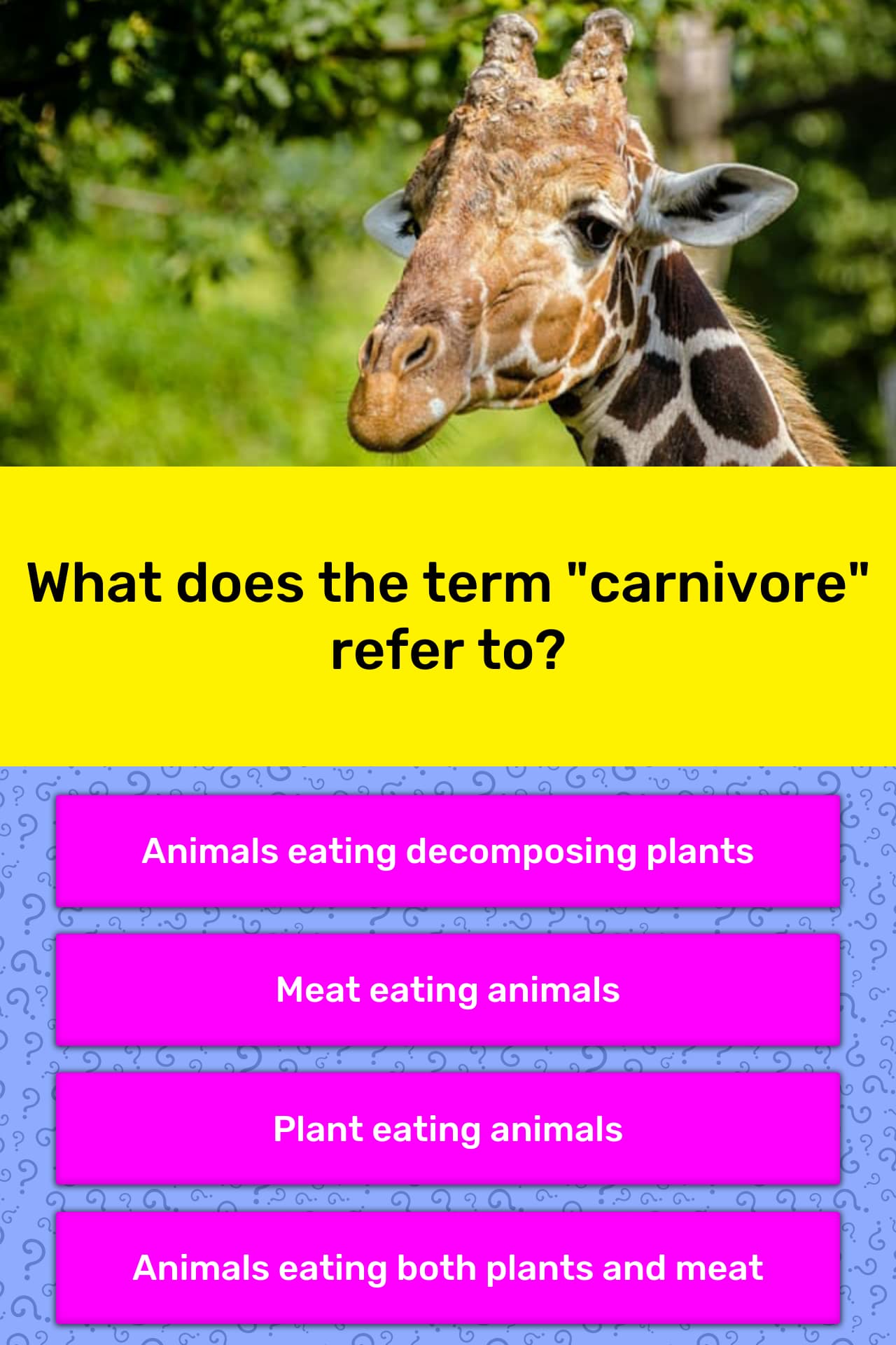 What does the term "carnivore" refer to?  Trivia Answers  QuizzClub