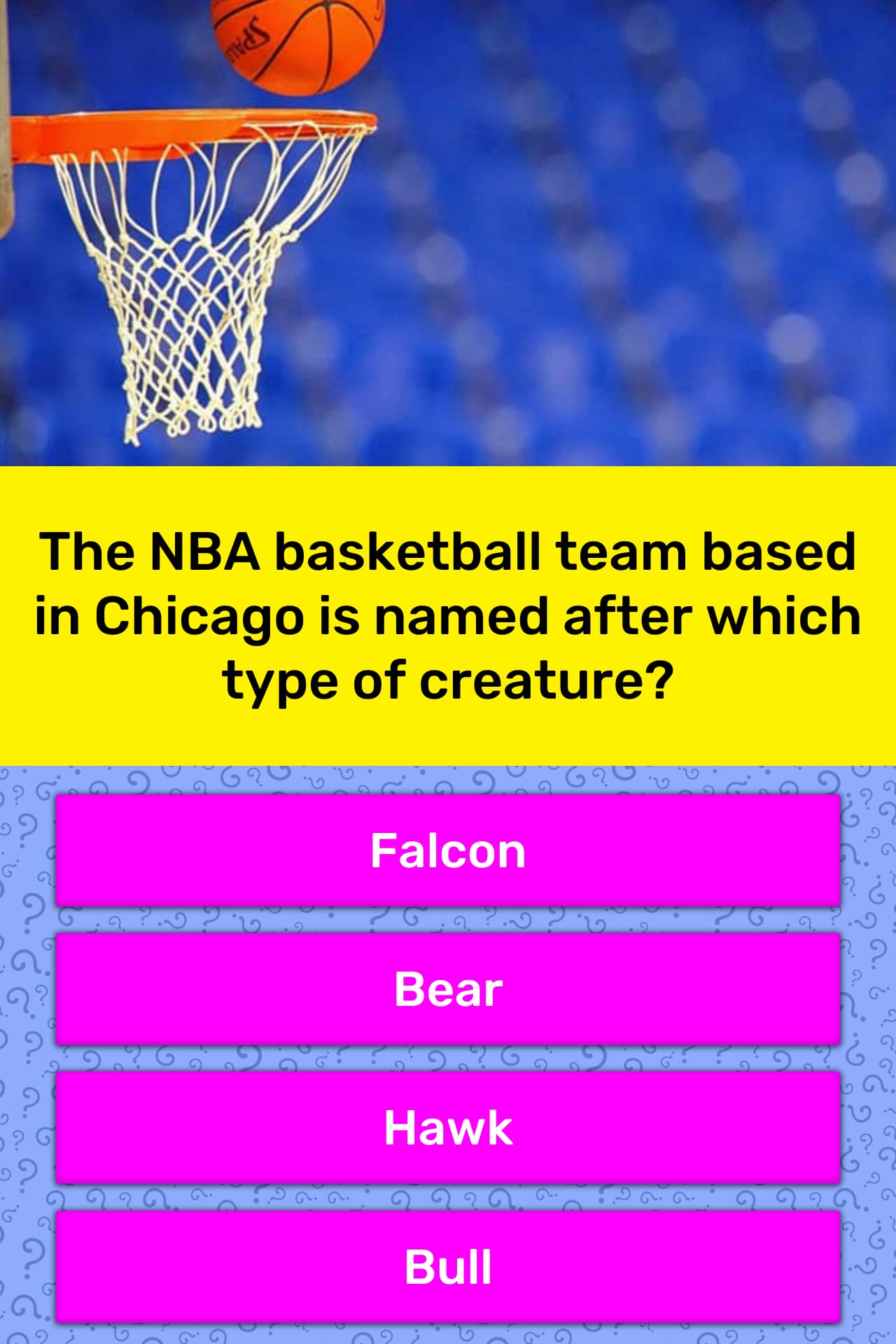 The NBA basketball team based in... Trivia Questions