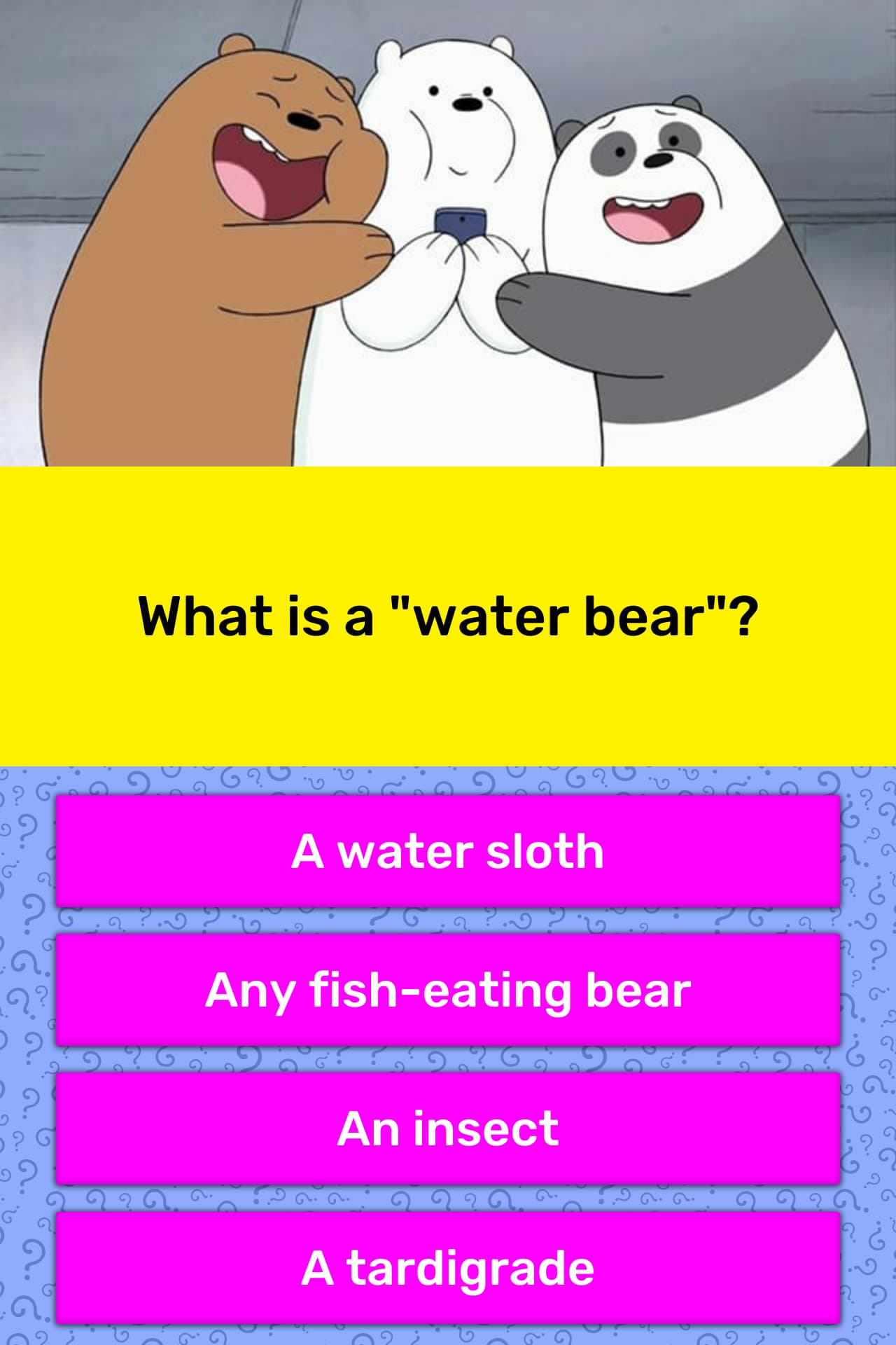 What is a "water bear"? Trivia Answers
