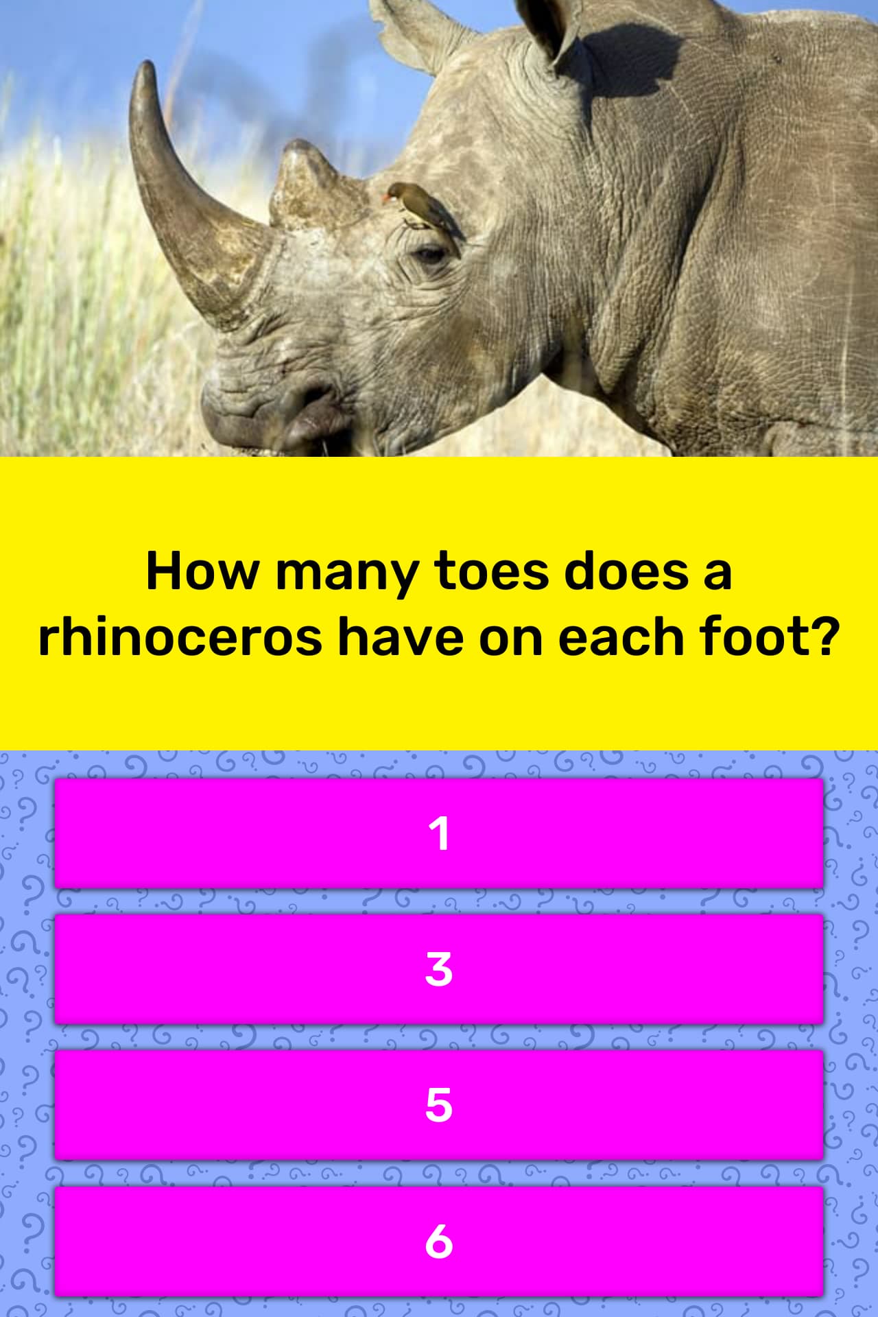 How Many Toes Does A Rhinoceros Have Trivia Answers Quizzclub