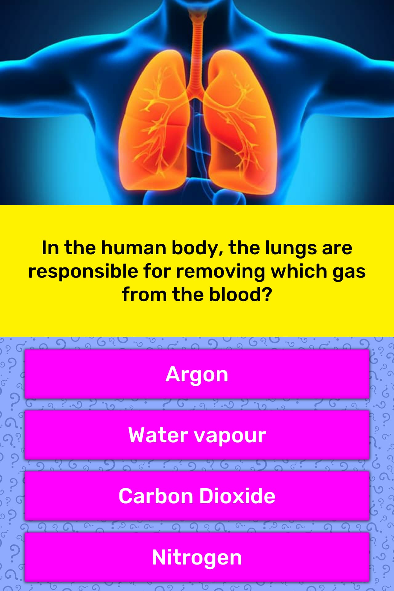 In the human body, the lungs are... | Trivia Answers | QuizzClub