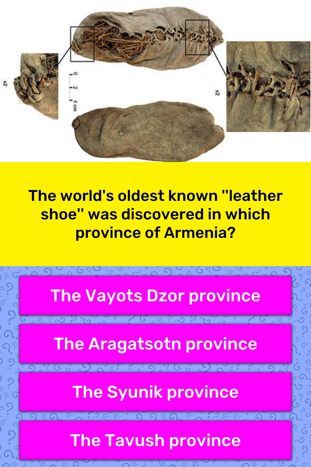 the-world-s-oldest-known-leather-trivia-questions-quizzclub