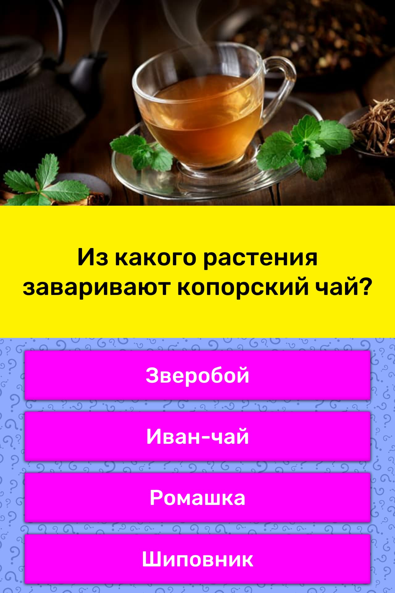 Чай из листьев. Чай tea cannabis. Травы которые можно заваривать. Чайный лист. Настои трав.