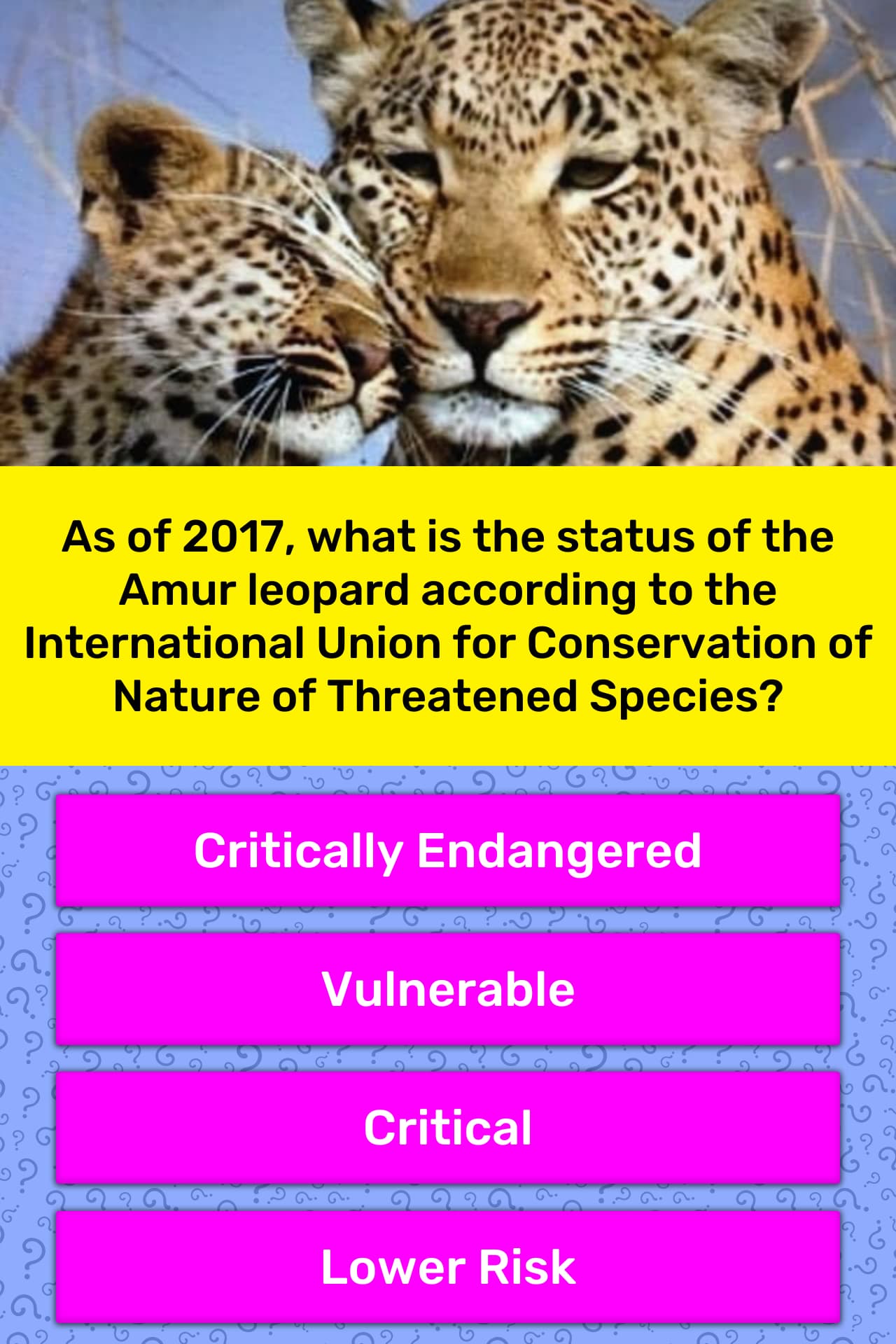 As of 2017, what is the status of... | Trivia Answers | QuizzClub