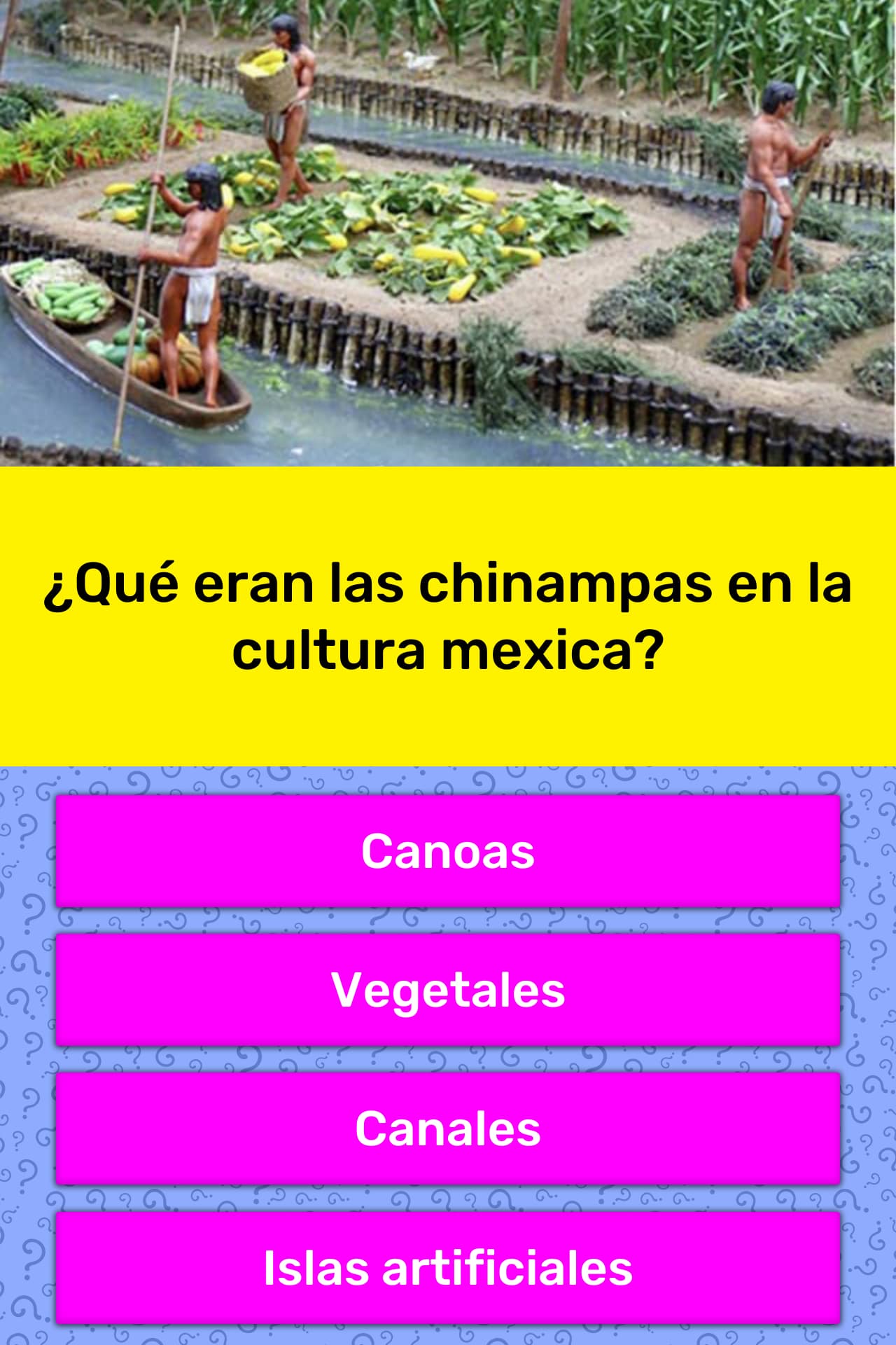 qu-eran-las-chinampas-en-la-la-respuesta-de-trivia-quizzclub