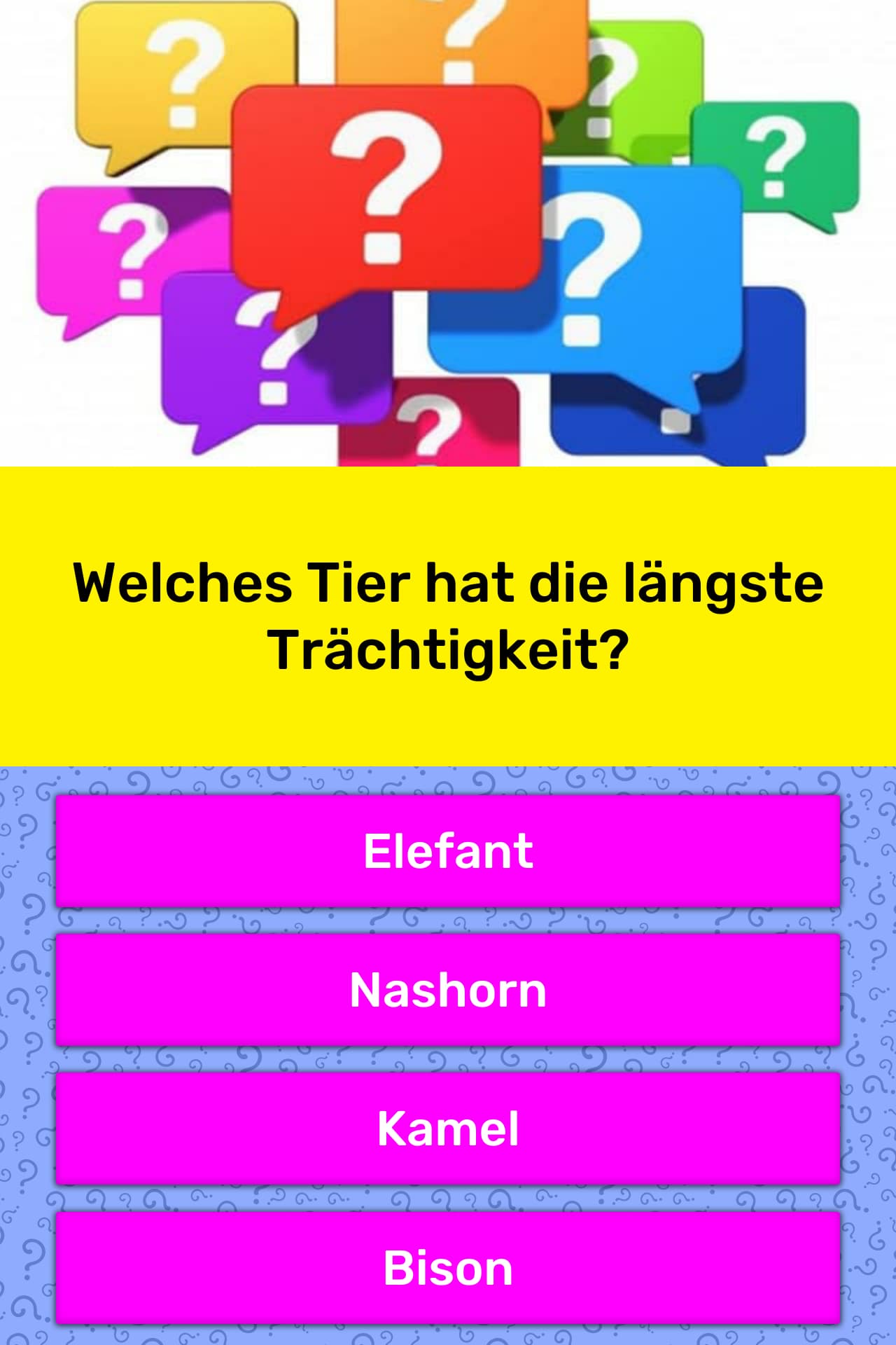Welches Tier hat die längste... QuizAntworten Welches Tier hat die längste... QuizAntworten