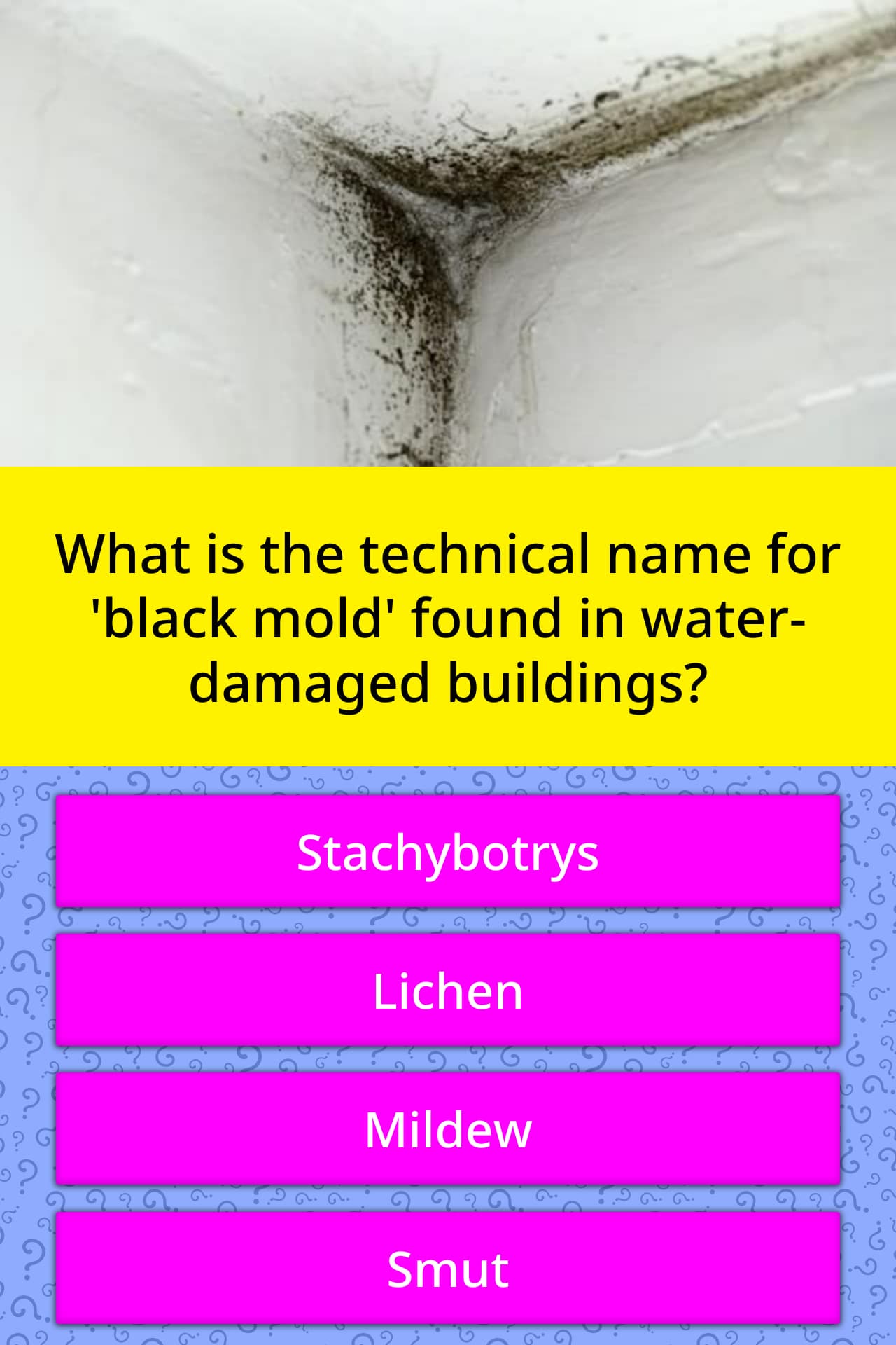 What Is The Technical Name For Trivia Questions QuizzClub