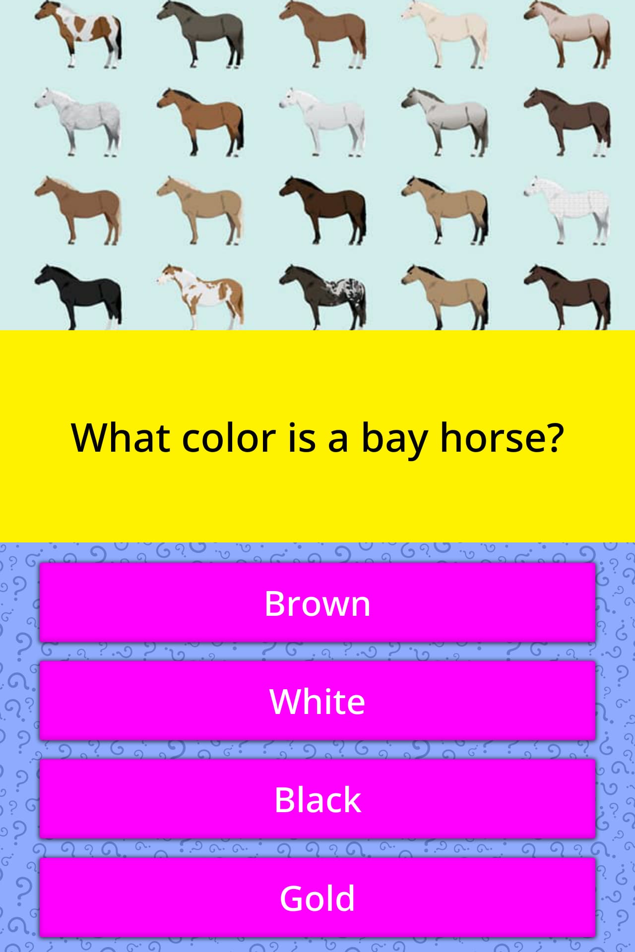Bay Horse Color Chart