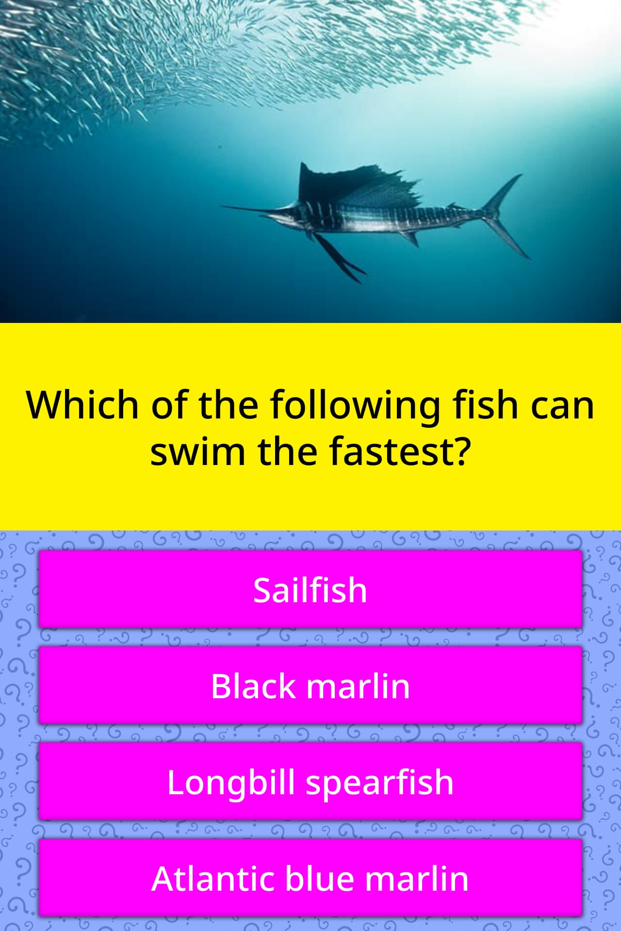 Which of the following fish can swim... Trivia Questions