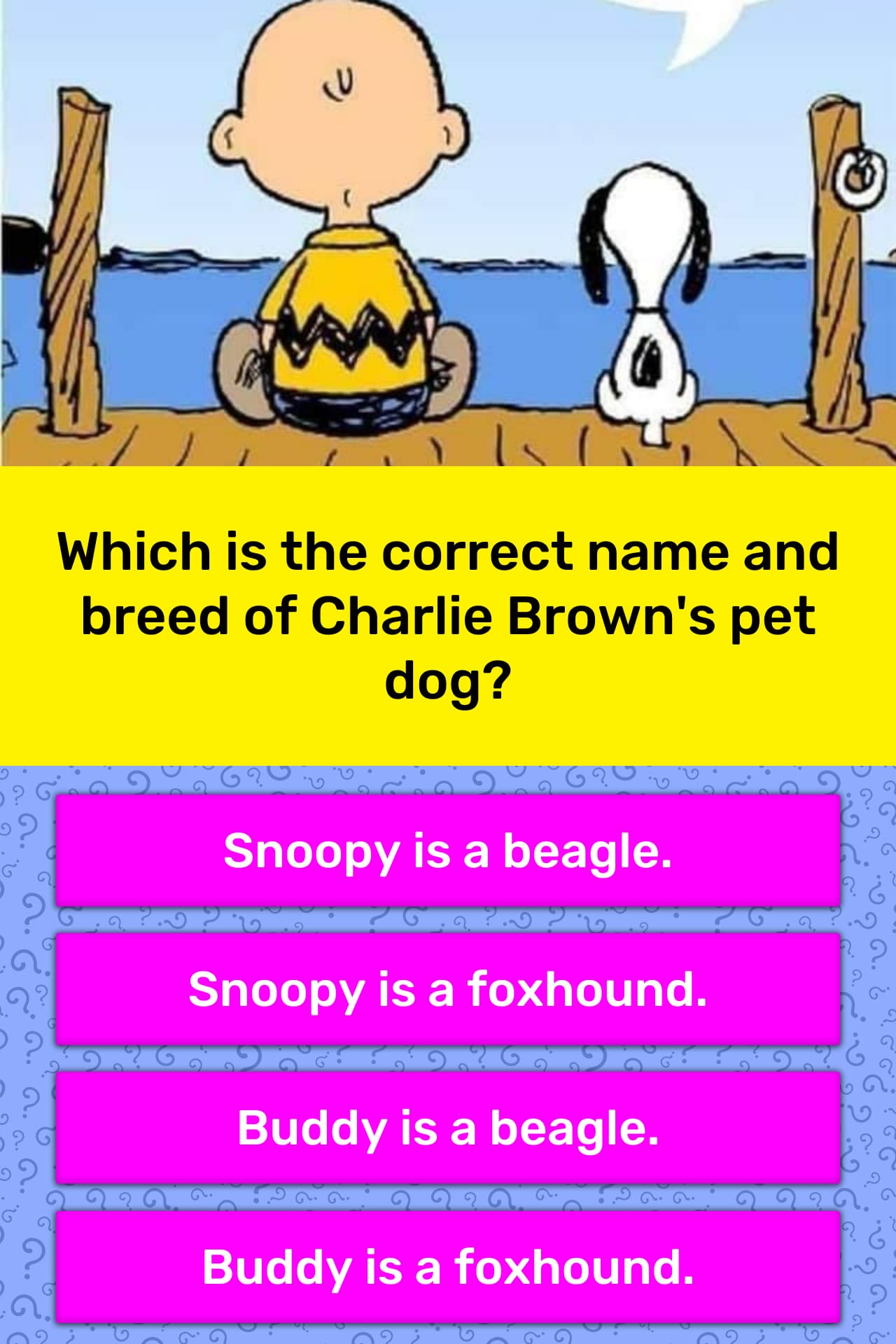 Which Is The Correct Name And Breed Trivia Answers Quizzclub