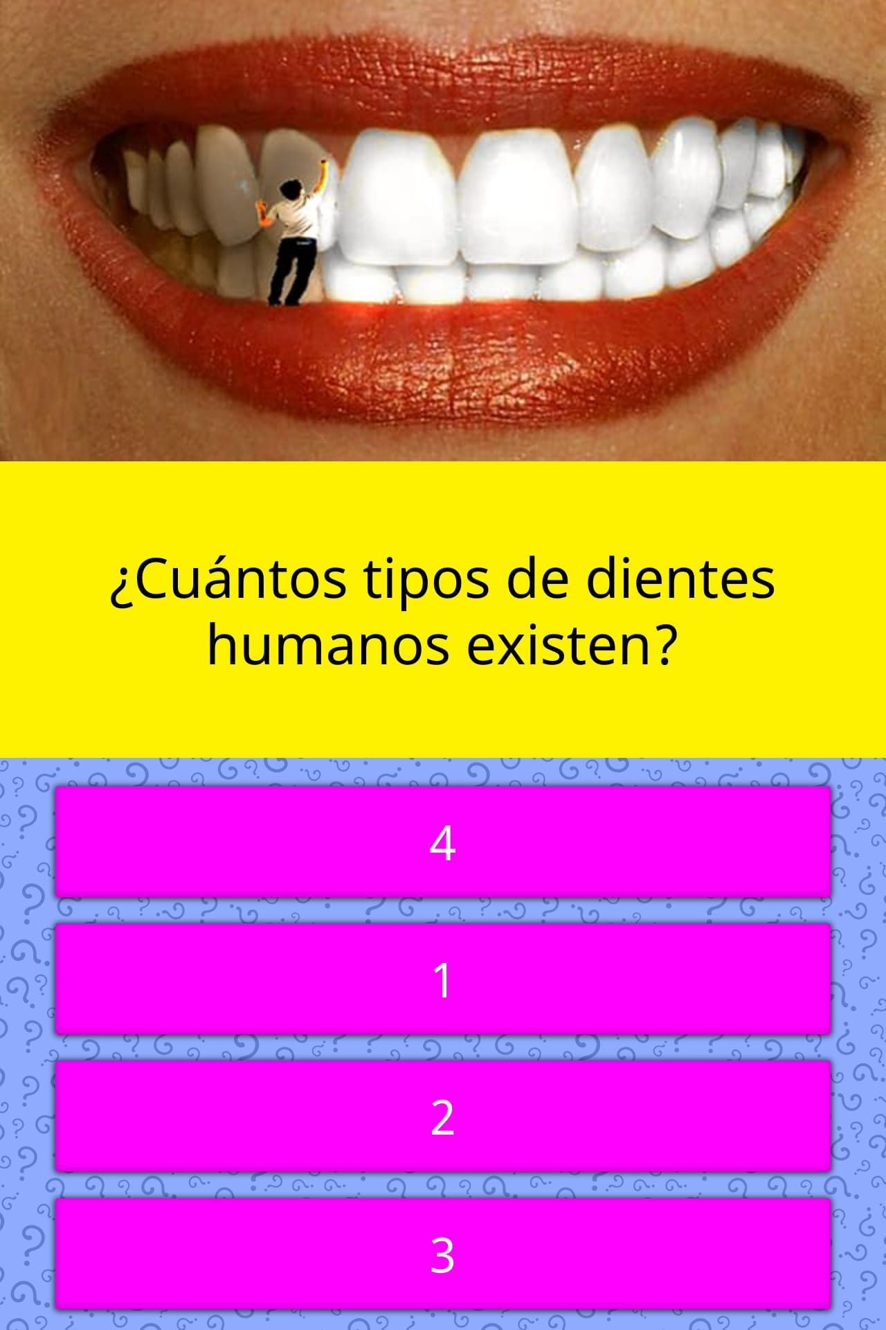 how-many-types-of-human-teeth-are-there-trivia-questions