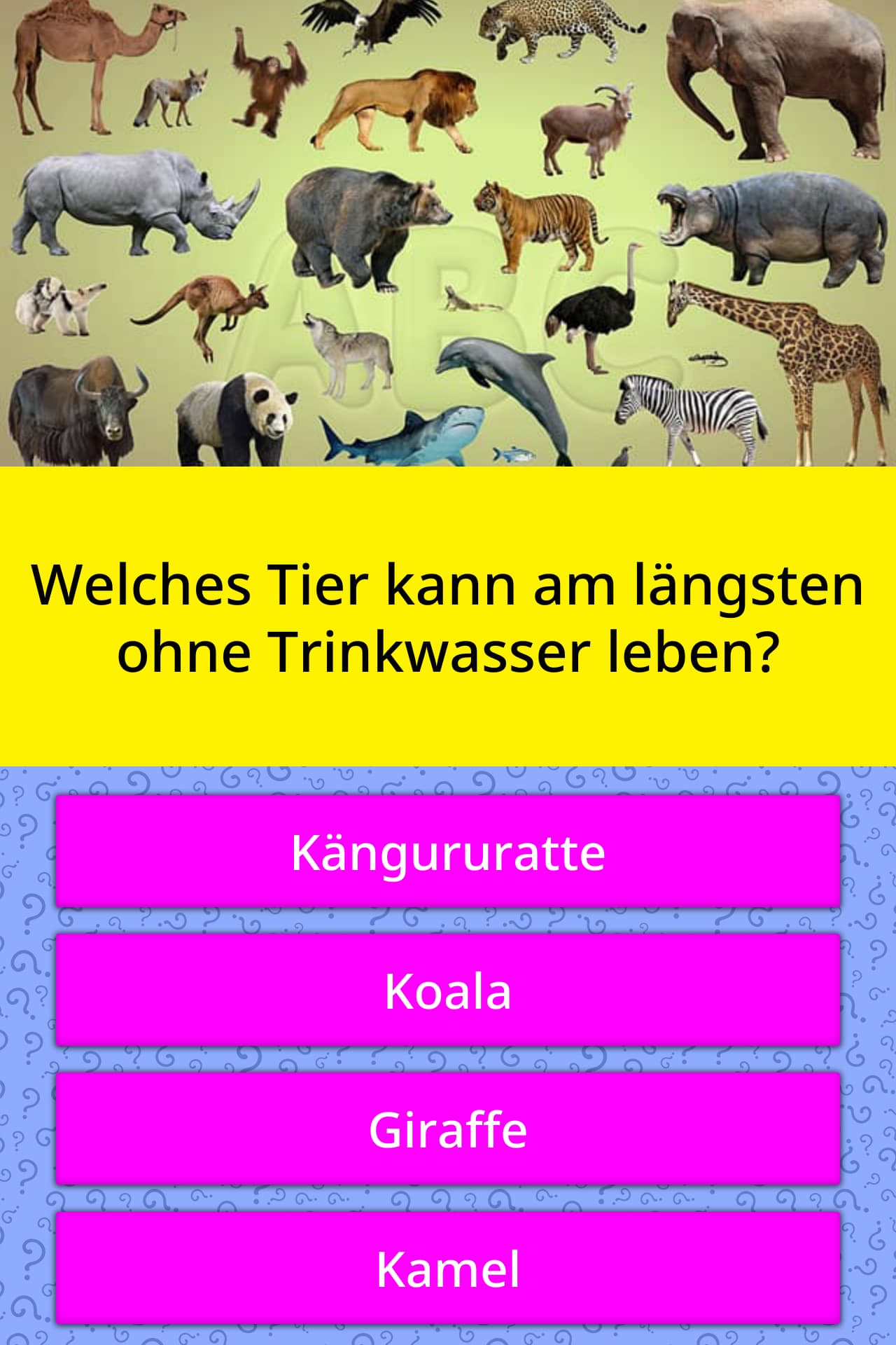 Welches Tier Lebt Am Längsten