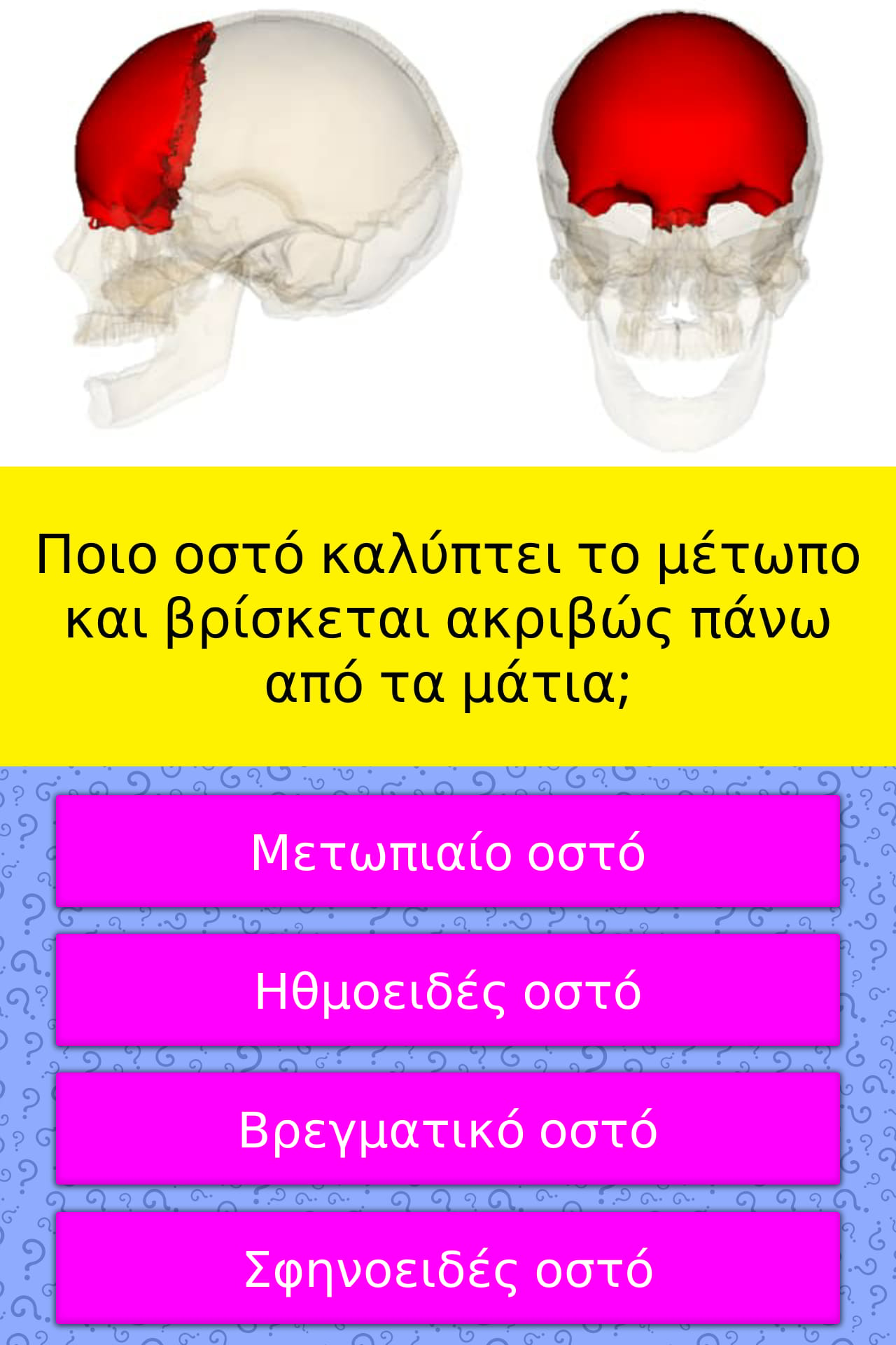 Which bone covers the forehead and... | Trivia Answers | QuizzClub