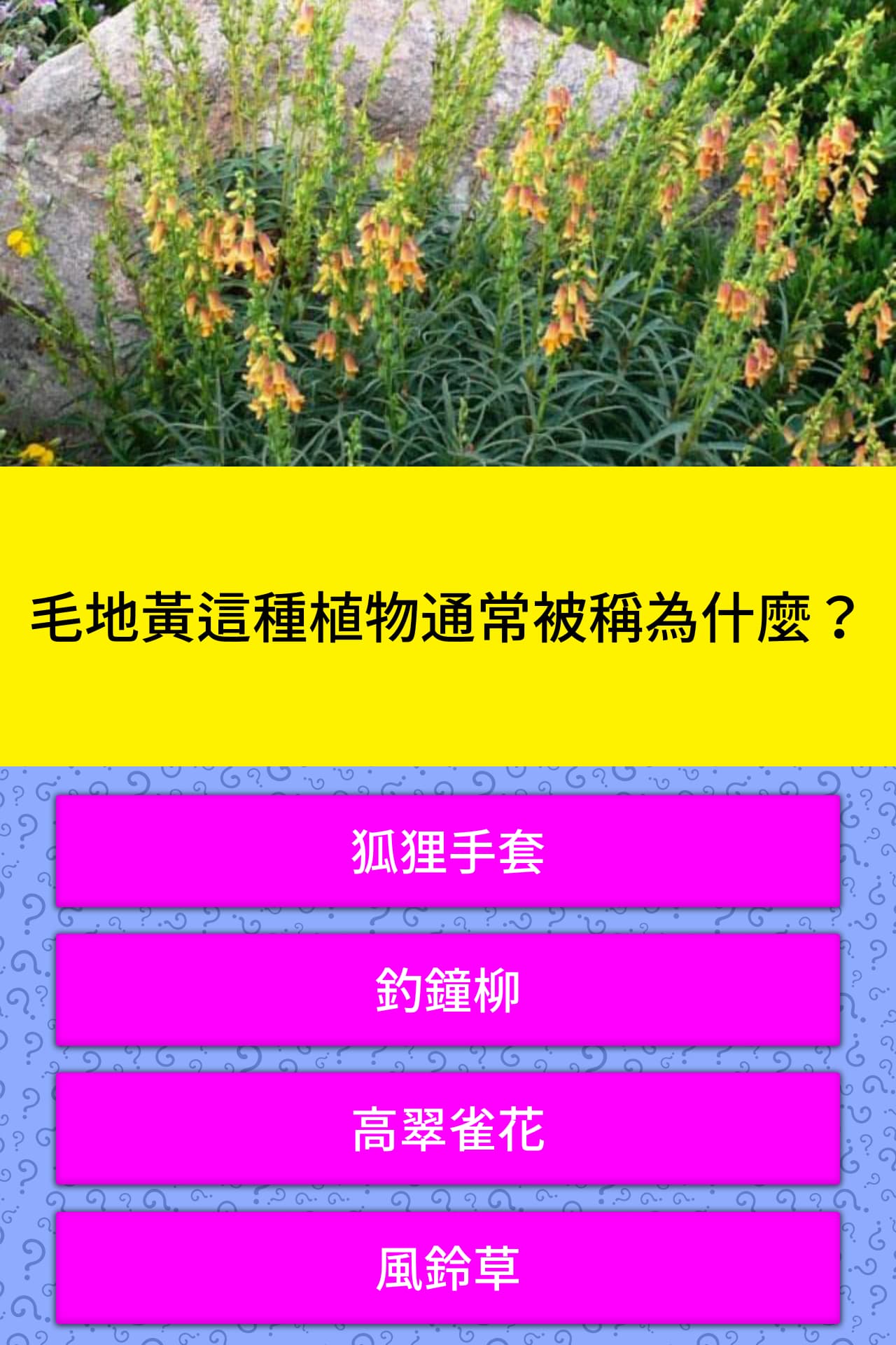 毛地黃這種植物通常被稱為什麼 問題答案 Quizzclub