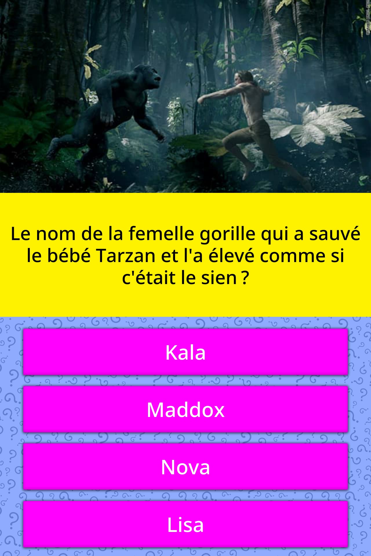 Le Nom De La Femelle Gorille Qui A Reponses Au Questionnaire