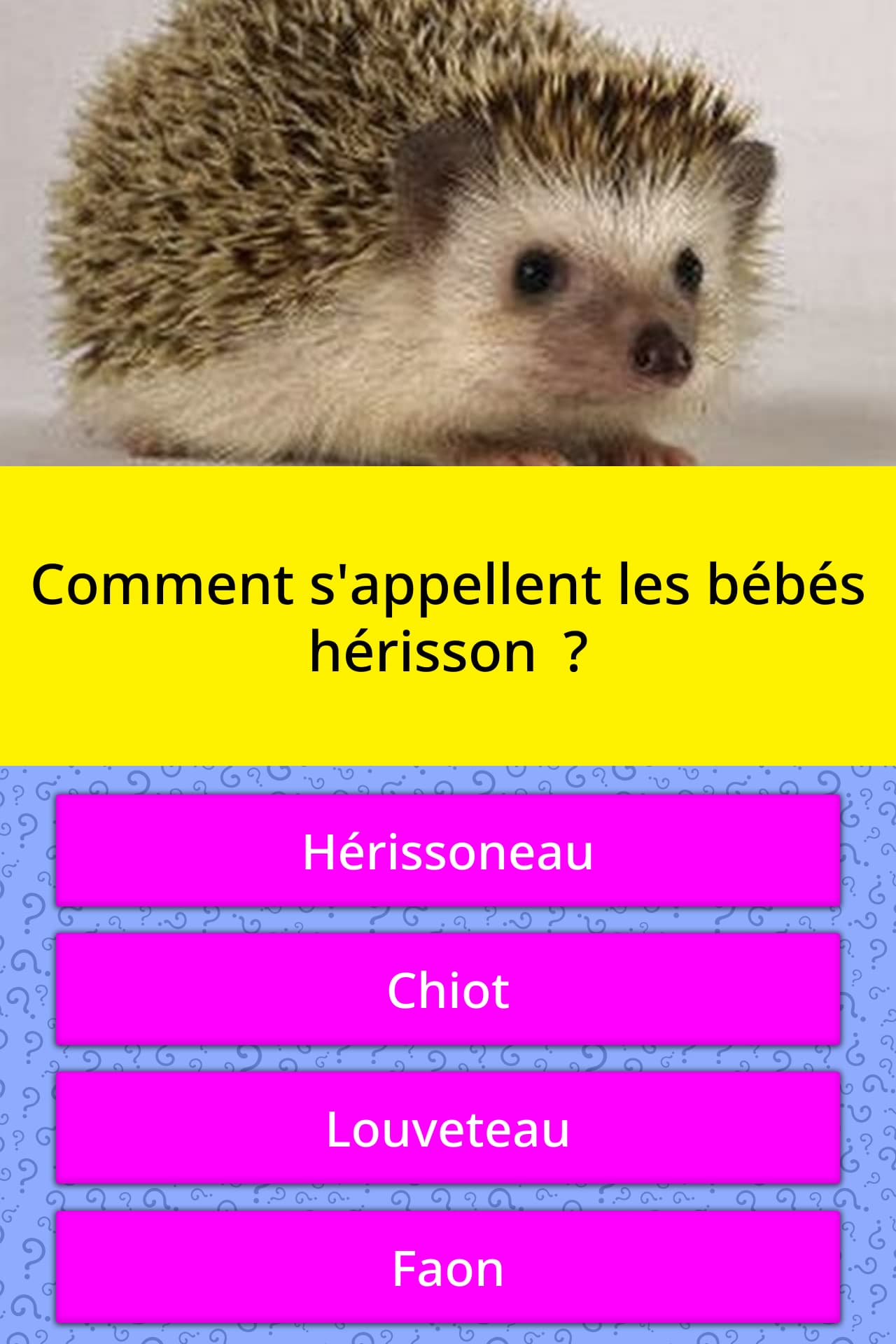 Comment S Appellent Les Bebes Reponses Au Questionnaire