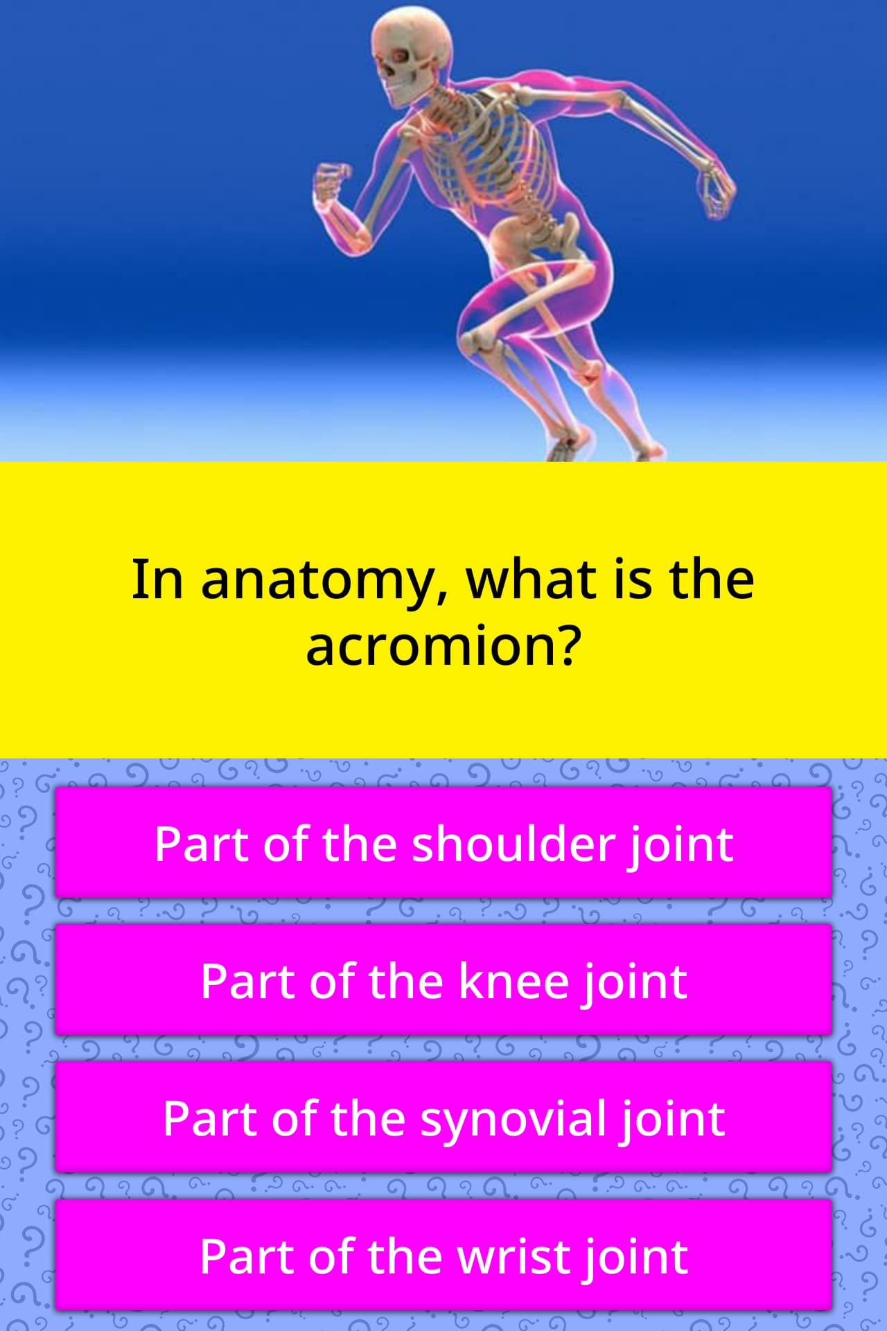 in-anatomy-what-is-the-acromion-trivia-answers-quizzclub