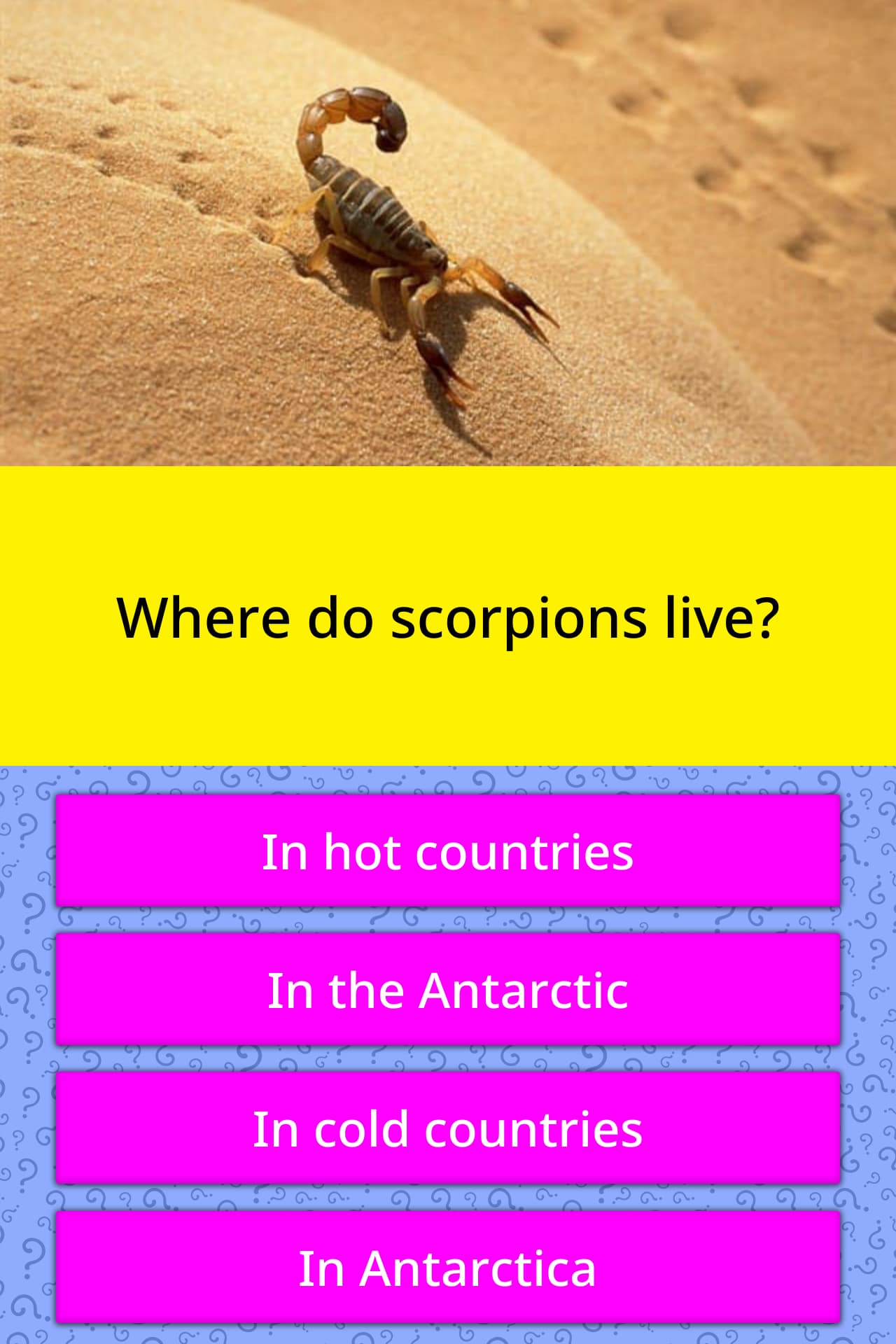 Desert Habitat Of Scorpions