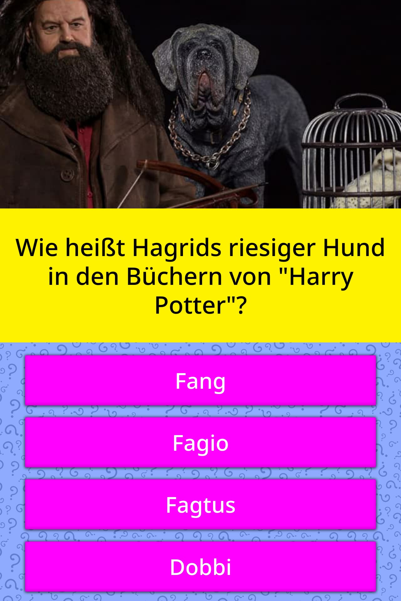 wie heisst hagrids riesiger hund in quiz antworten quizzclub