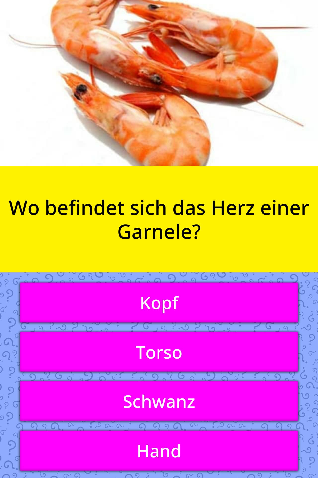 Wo Befindet Sich Das Herz Einer Garnele Quiz Antworten Quizzclub