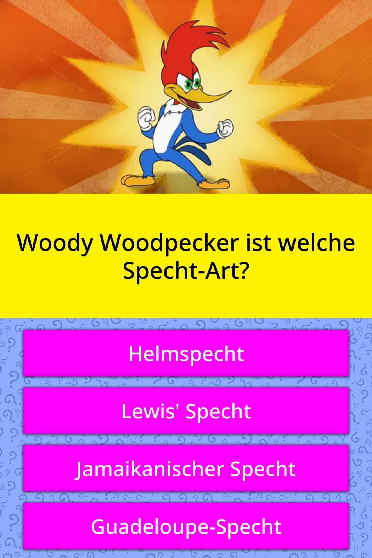 Woody Woodpecker Ist Welche Specht Art Quiz Antworten Quizzclub
