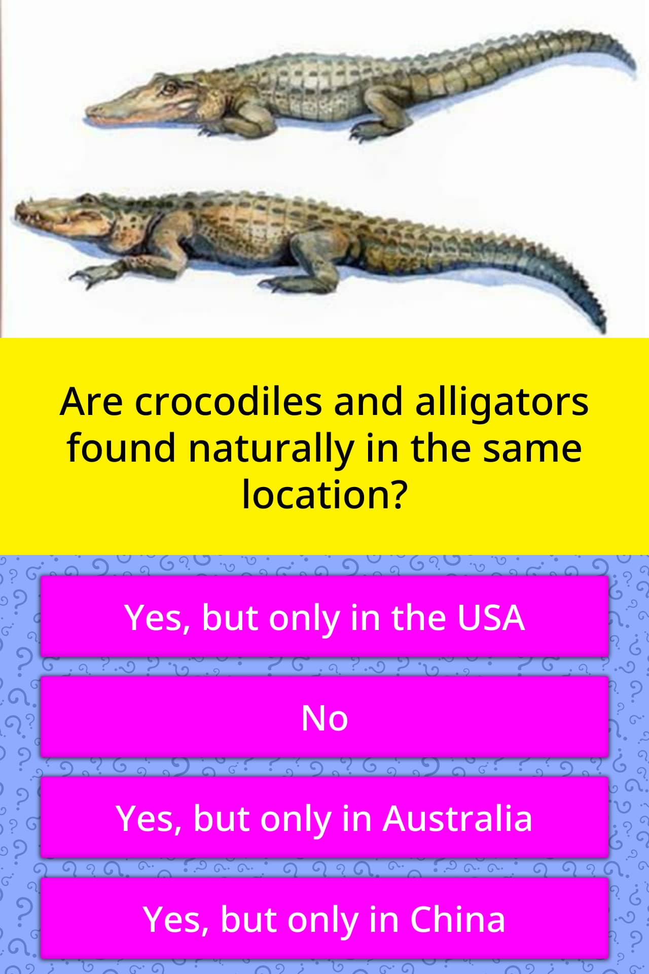 list of social questions about an alligator