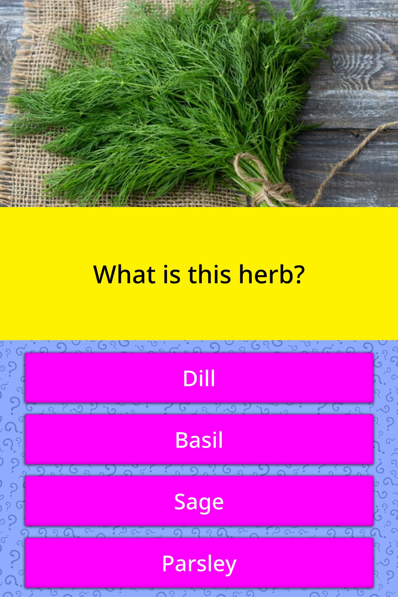 what-is-this-herb-trivia-questions-quizzclub