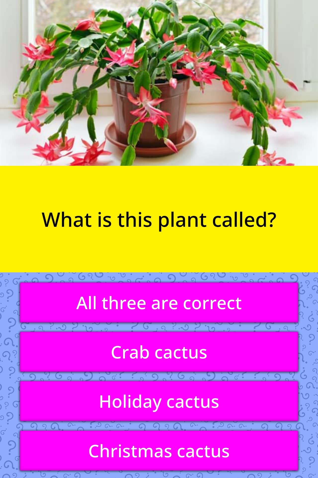 What Is This Plant Called Trivia Answers QuizzClub