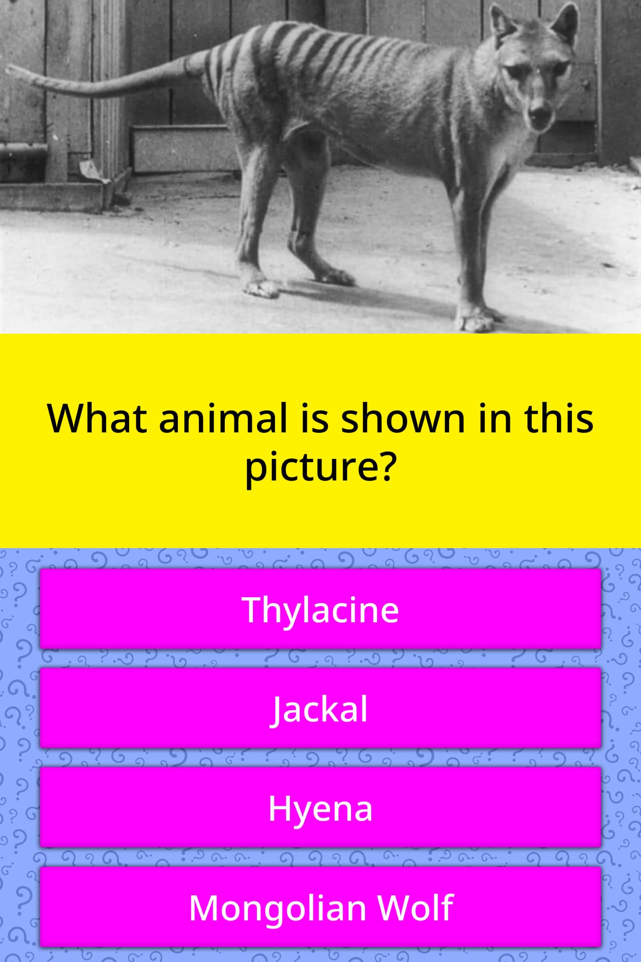 what-animal-is-shown-in-this-picture-trivia-questions-quizzclub