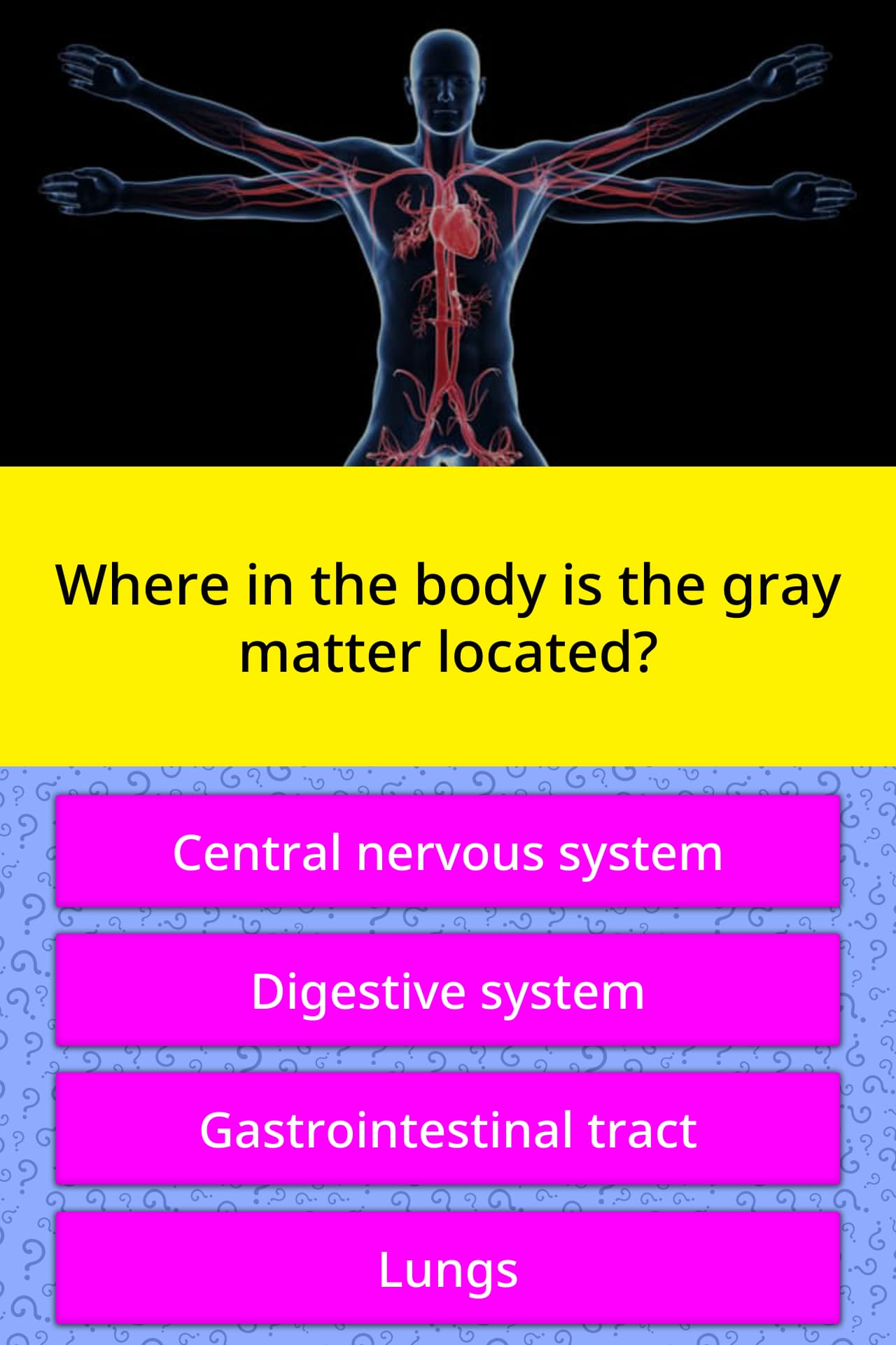 Where in the body is the gray matter... Trivia Questions