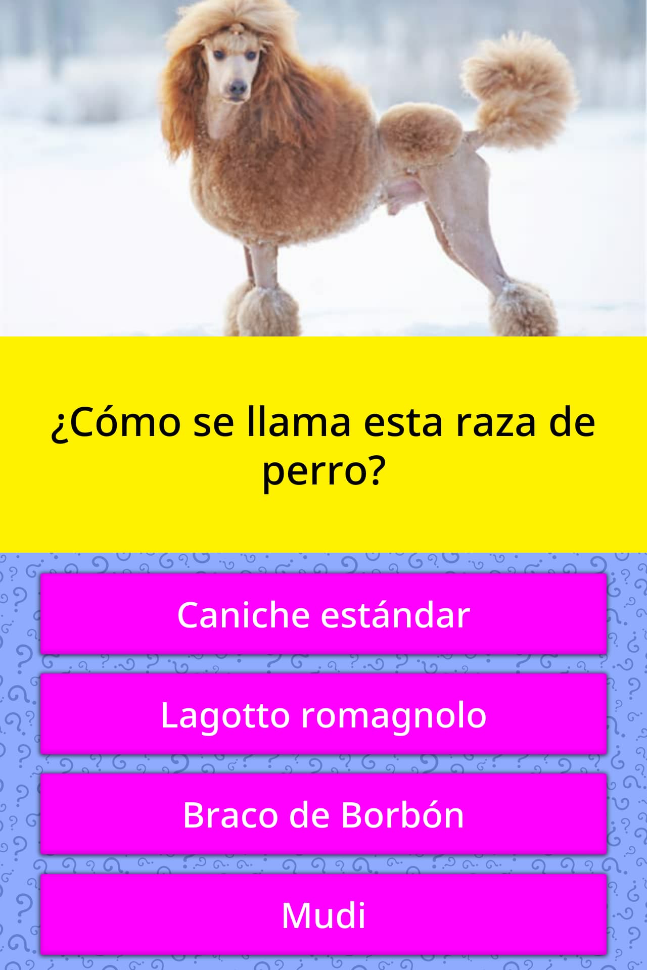 Cómo Se Llama Perro En Inglés