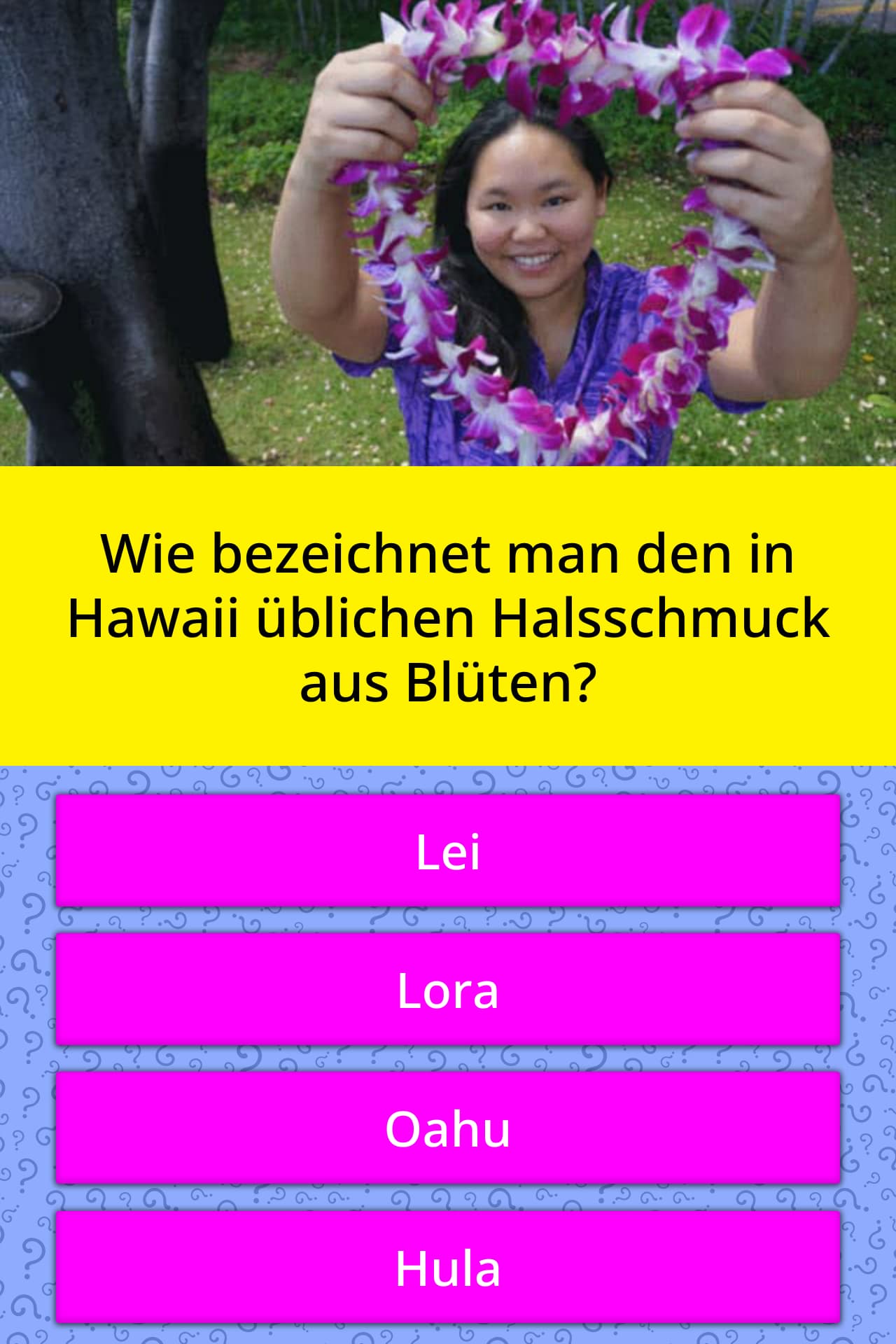 Wie Bezeichnet Man Den In Hawaii Quizfragen Quizzclub