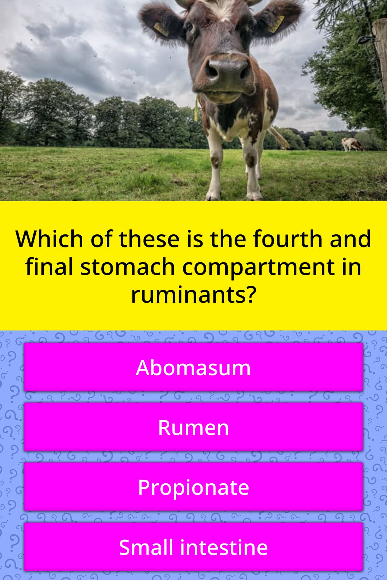 Which of these is the fourth and... | Trivia Questions | QuizzClub