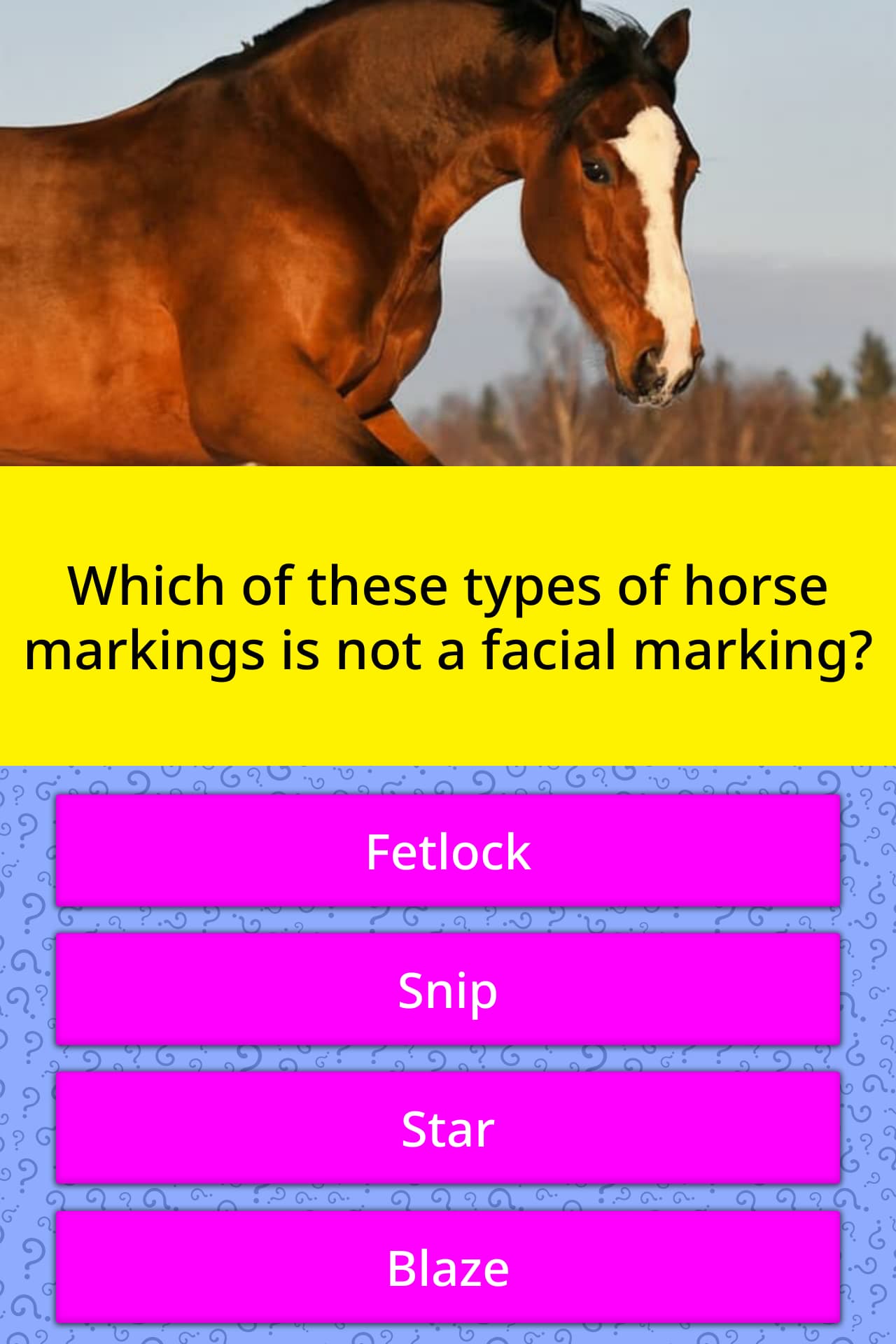 Which of these types of horse... Trivia Questions