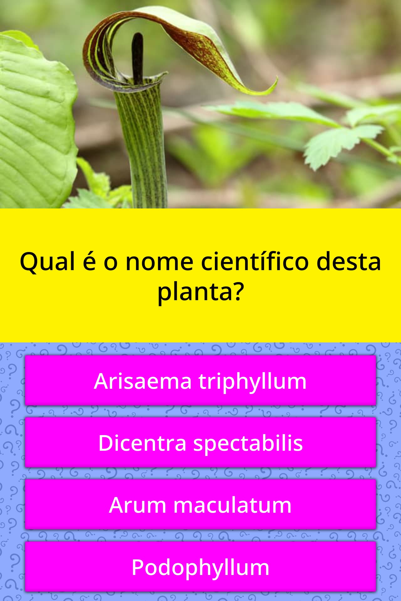 Nomes Científico De Plantas - NAZAEDU