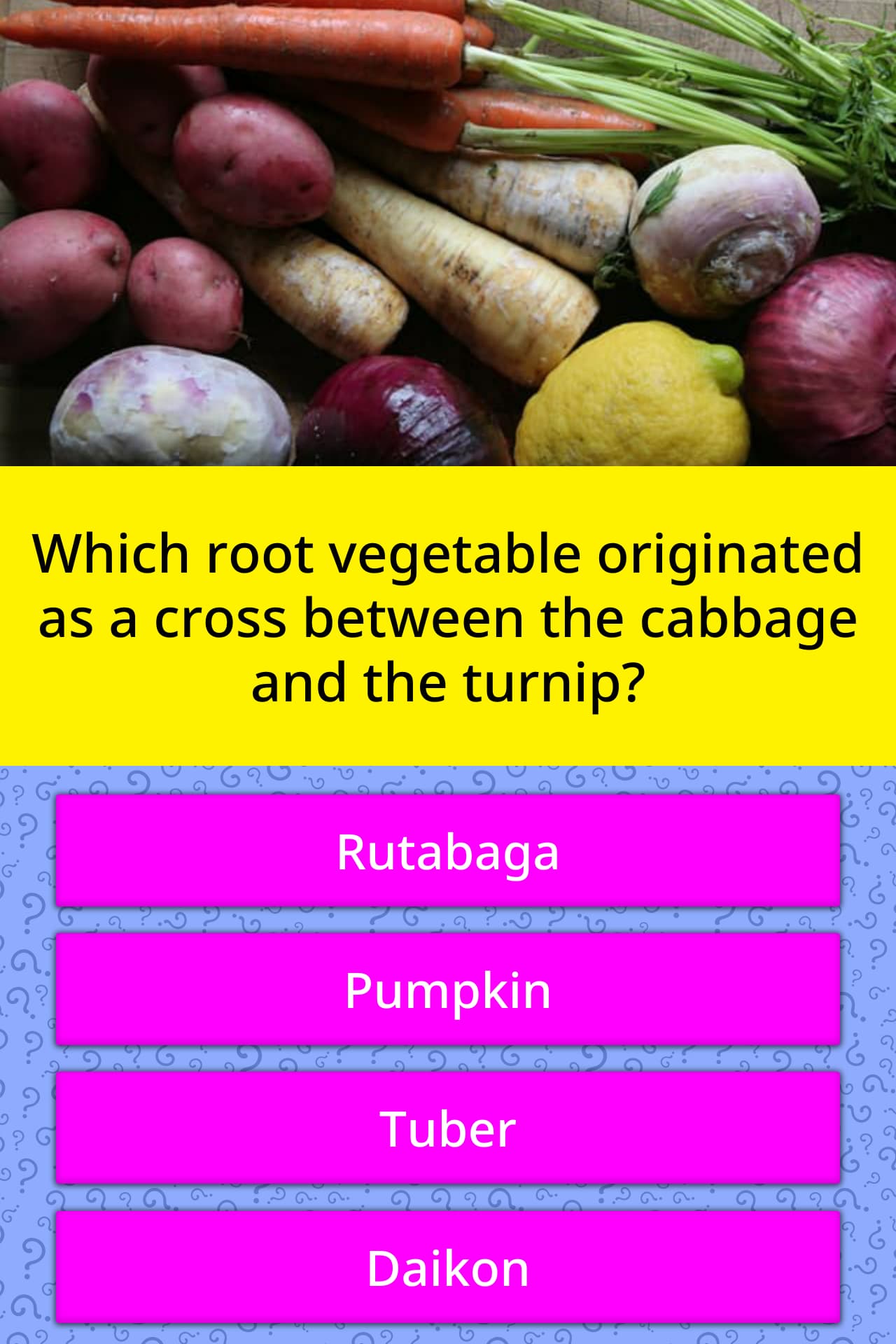 Which Root Vegetable Originated As A Trivia Answers QuizzClub