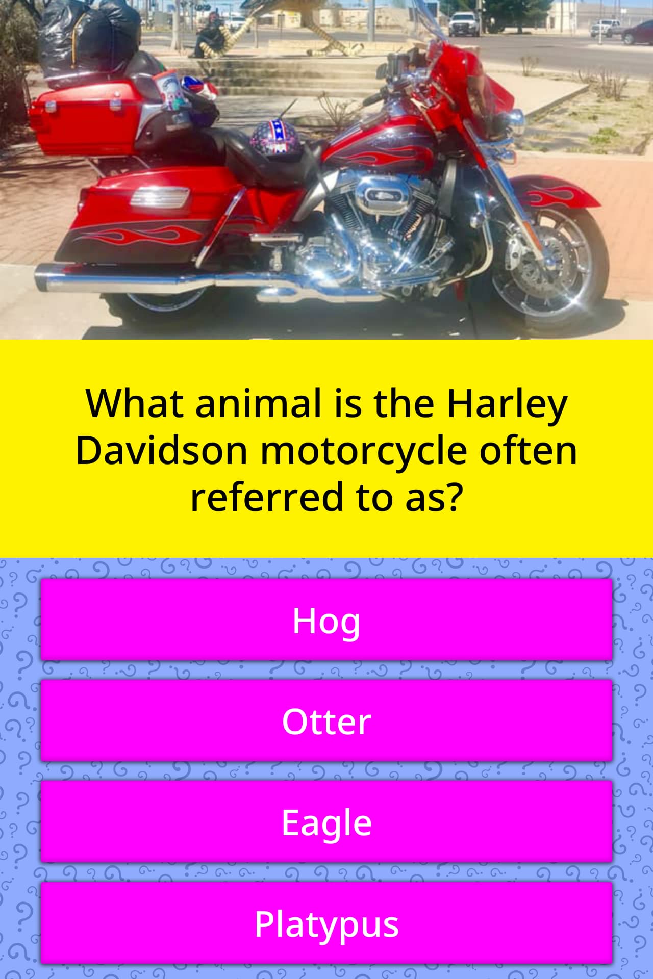 What Animal Is The Harley Davidson Trivia Answers Quizzclub